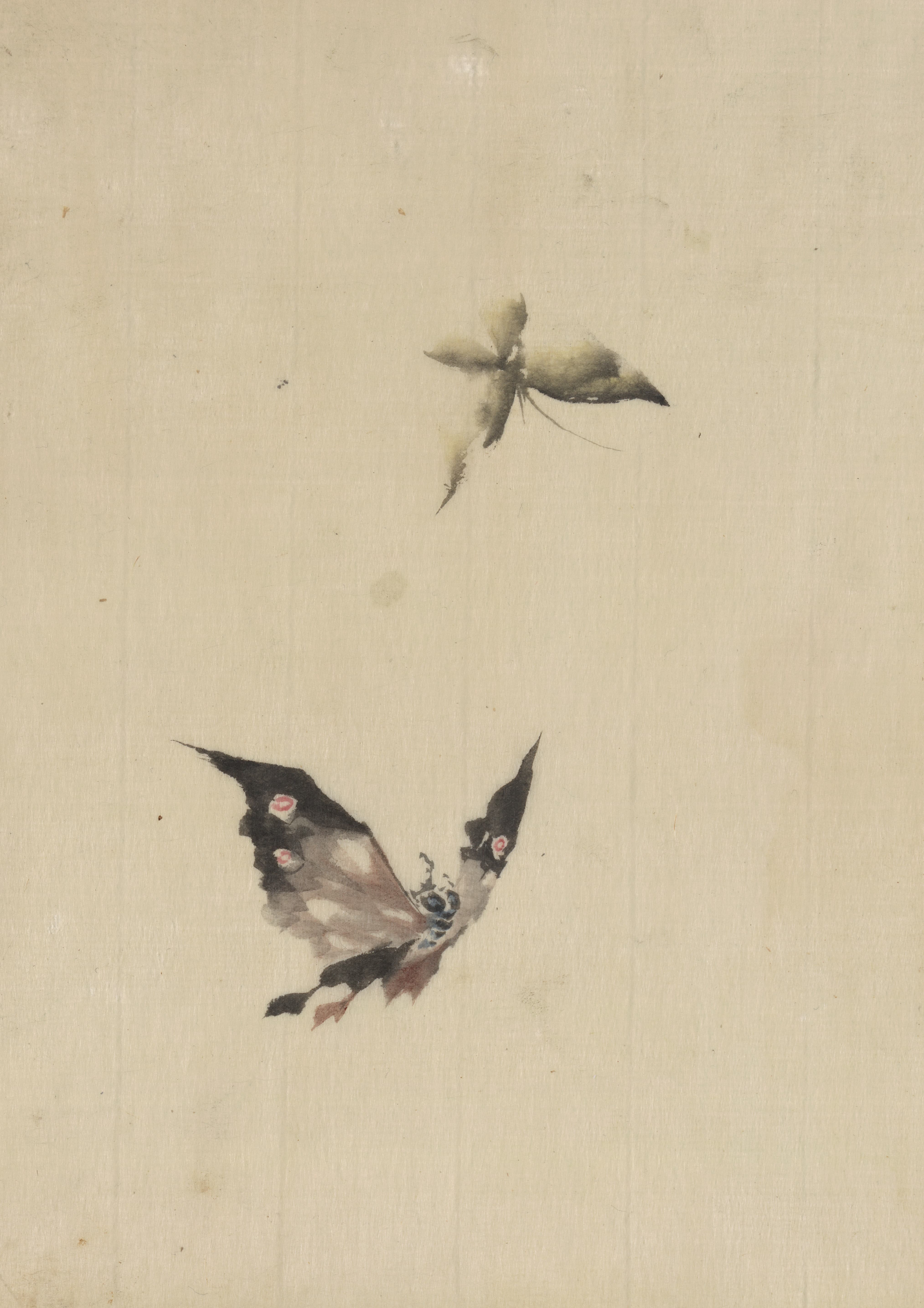 《蝴蝶和飞蛾》（Butterfly and moth）｜葛饰北斋 Katsushika Hokusai｜1830-1850