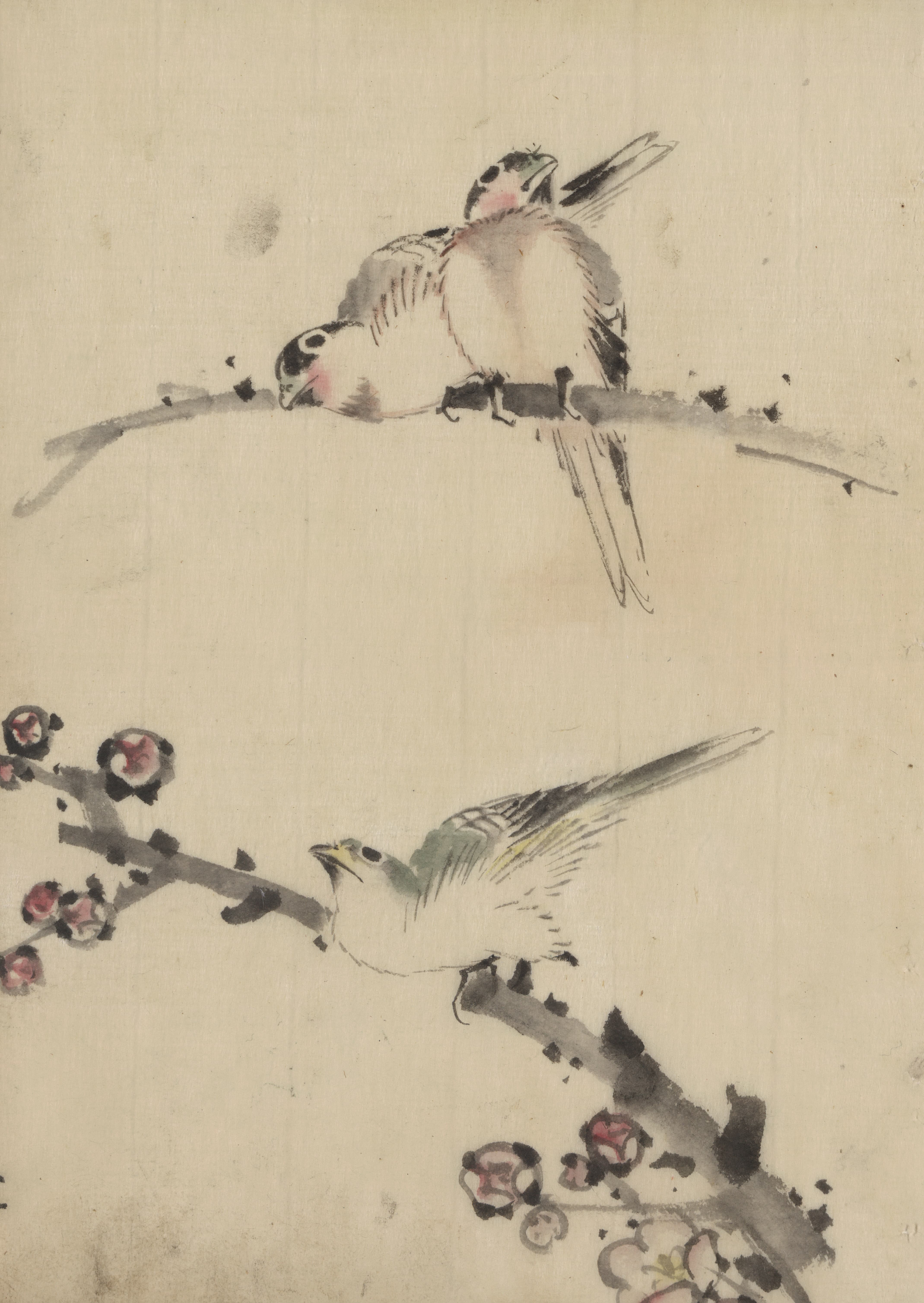 《花枝上的三只鸟》（Three birds perched on branches, one with blossoms）｜葛饰北斋 Katsushika Hokusai｜1830-1850