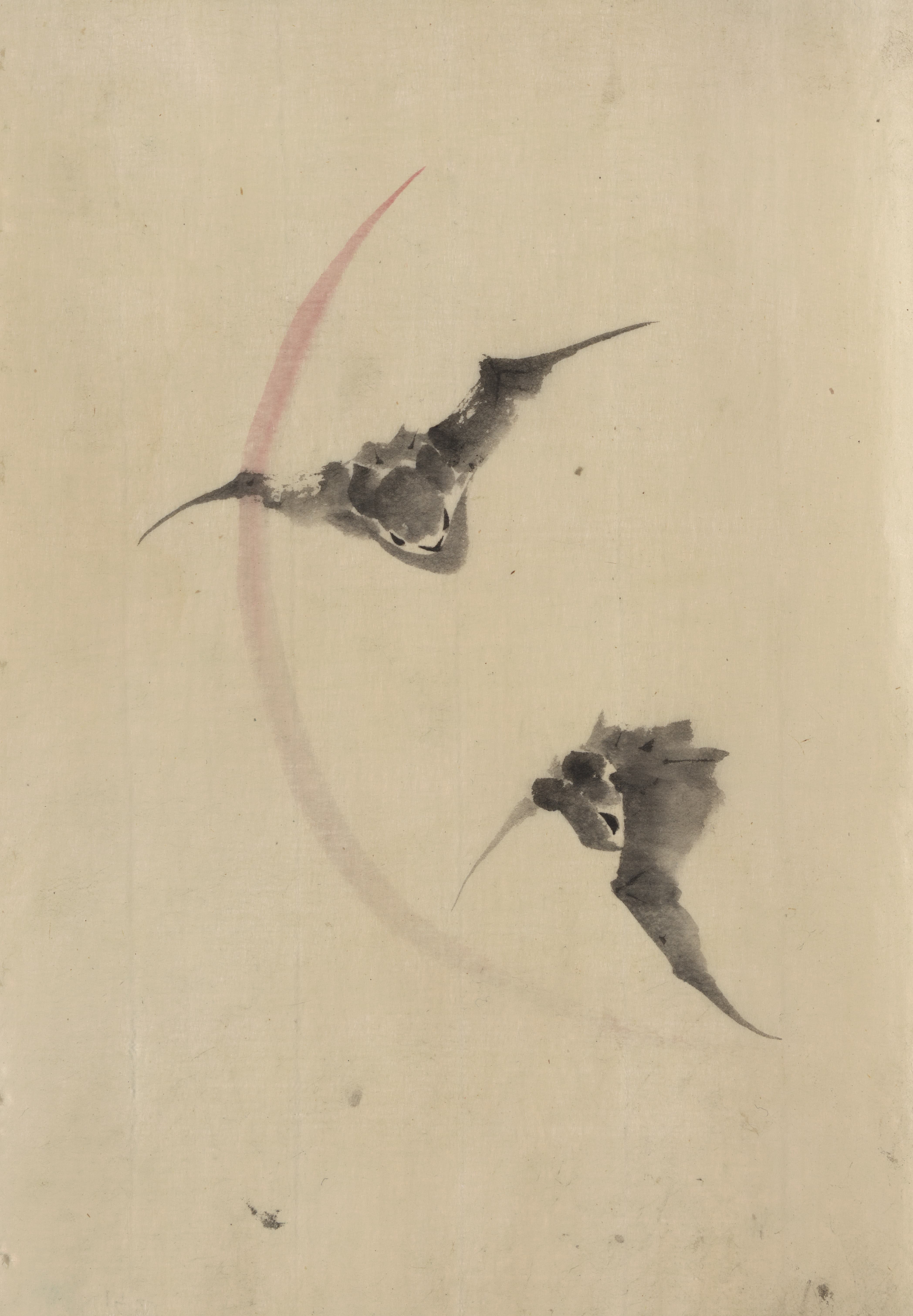 《两只蝙蝠飞翔》（Two bats flying）｜葛饰北斋 Katsushika Hokusai｜1830-1850