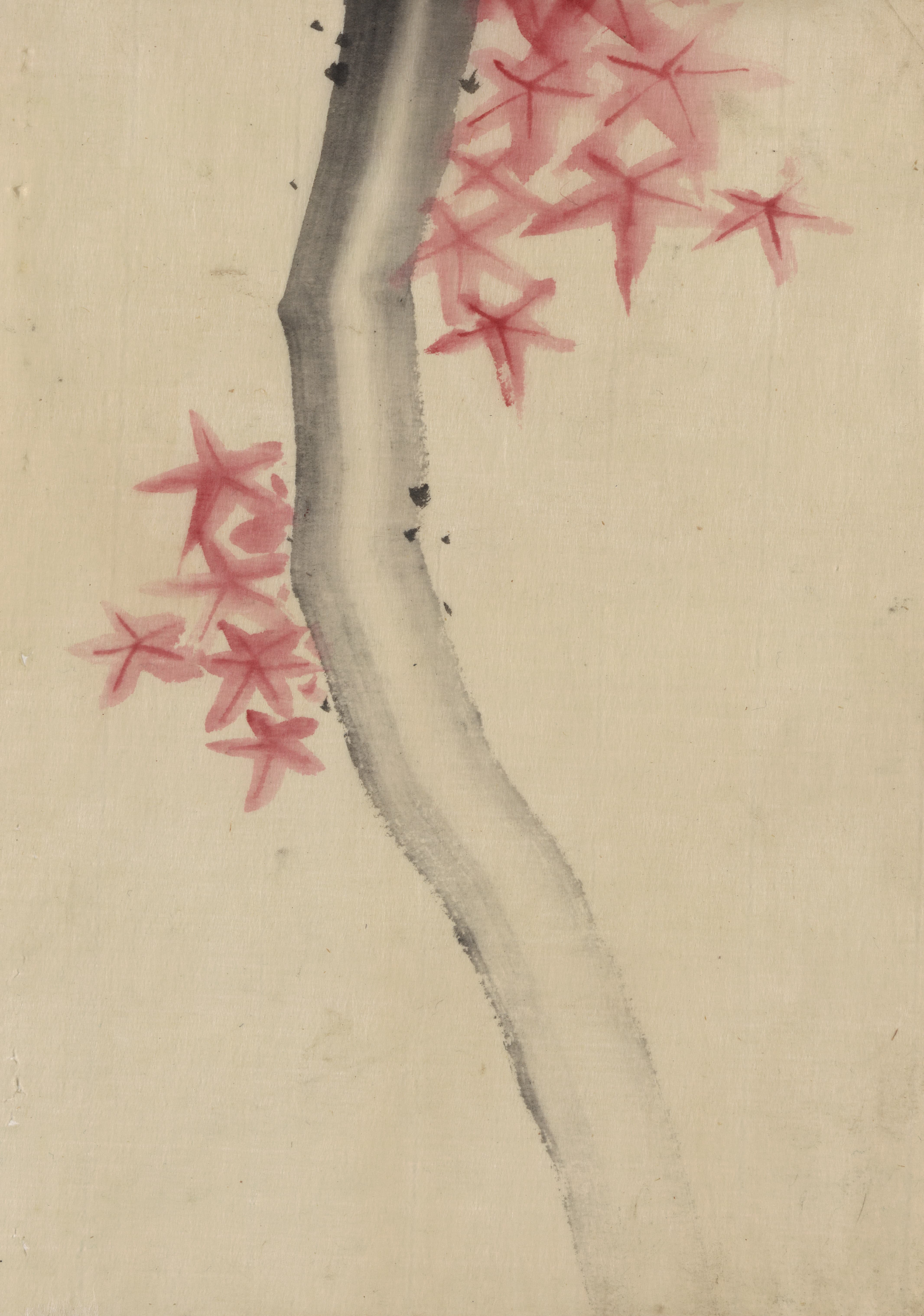 《身份不明，可能是有红色星形叶子或花朵的树枝》（Unidentified, possibly a tree branch with red star-shaped leaves or blossoms）｜葛饰北斋 Katsushika Hokusai｜1830-1850