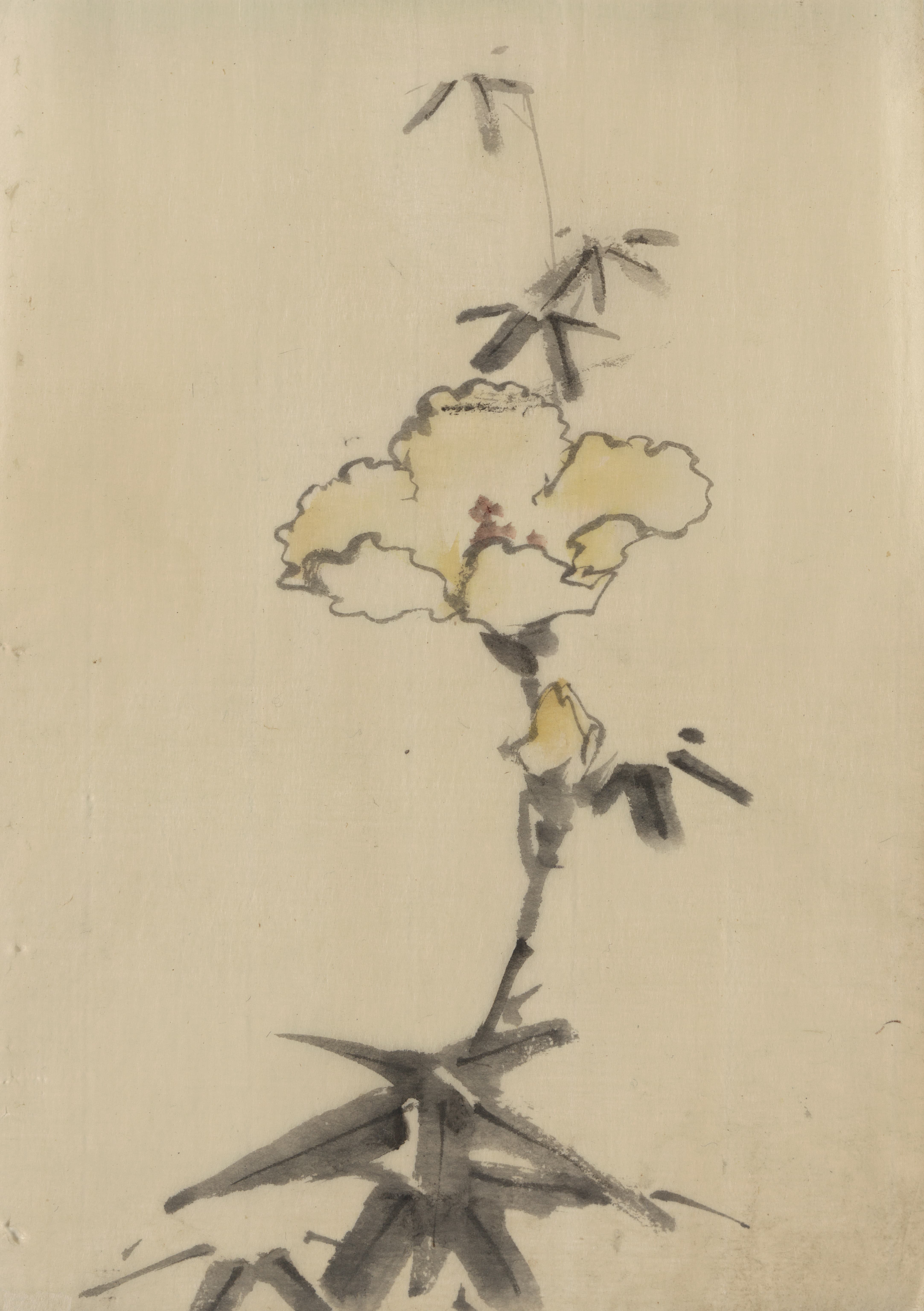 《黄色的花，叶子上方的茎上有芽》（Yellow blossom with bud on a stalk above leaves）｜葛饰北斋 Katsushika Hokusai｜1830-1850