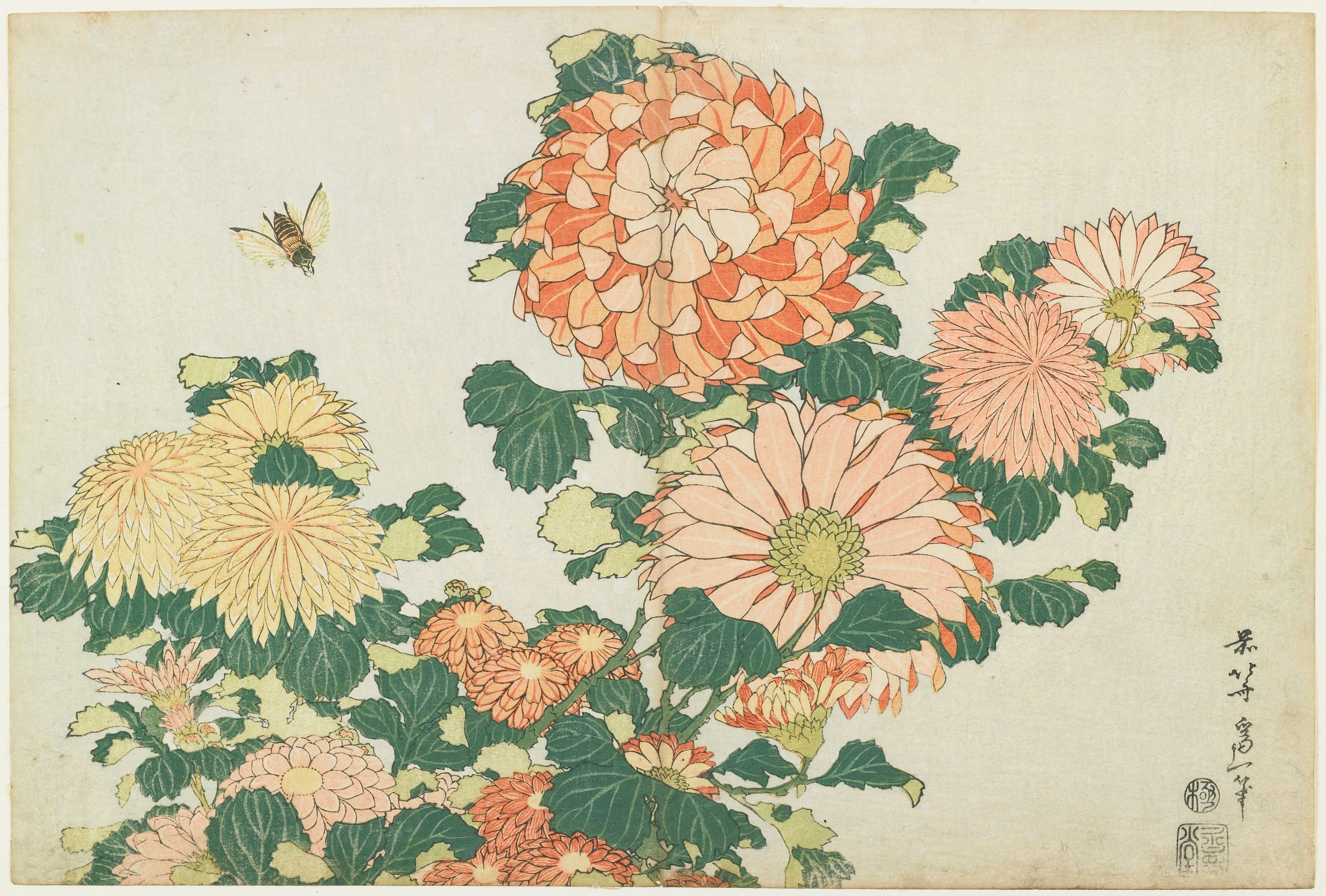《菊花和马蝇》（Chrysanthemums and Horsefly）｜葛饰北斋 Katsushika Hokusai｜约 1833-1834