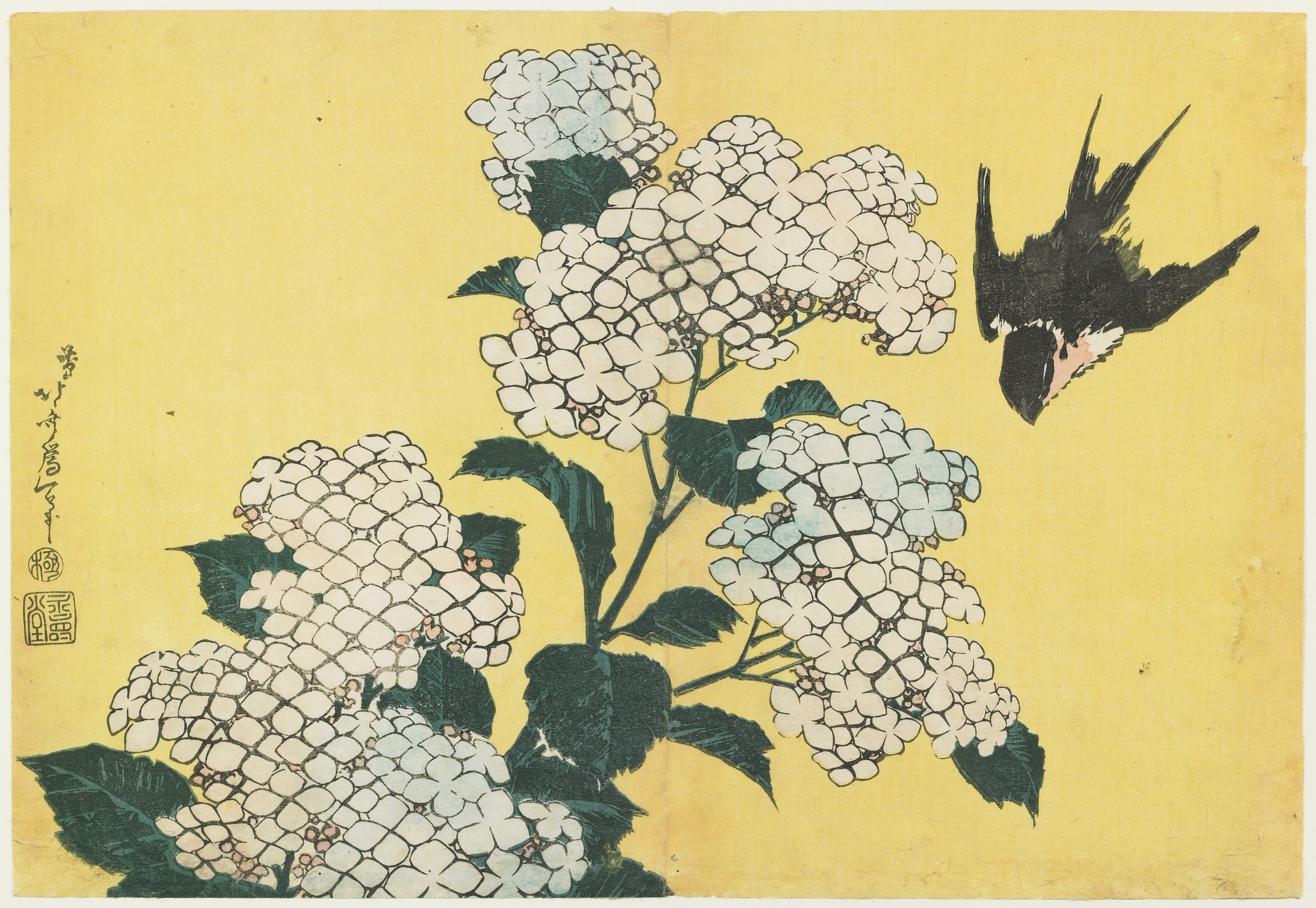 《绣球花和燕子》（Hydrangeas and Swallow）｜葛饰北斋 Katsushika Hokusai｜约 1833-1834