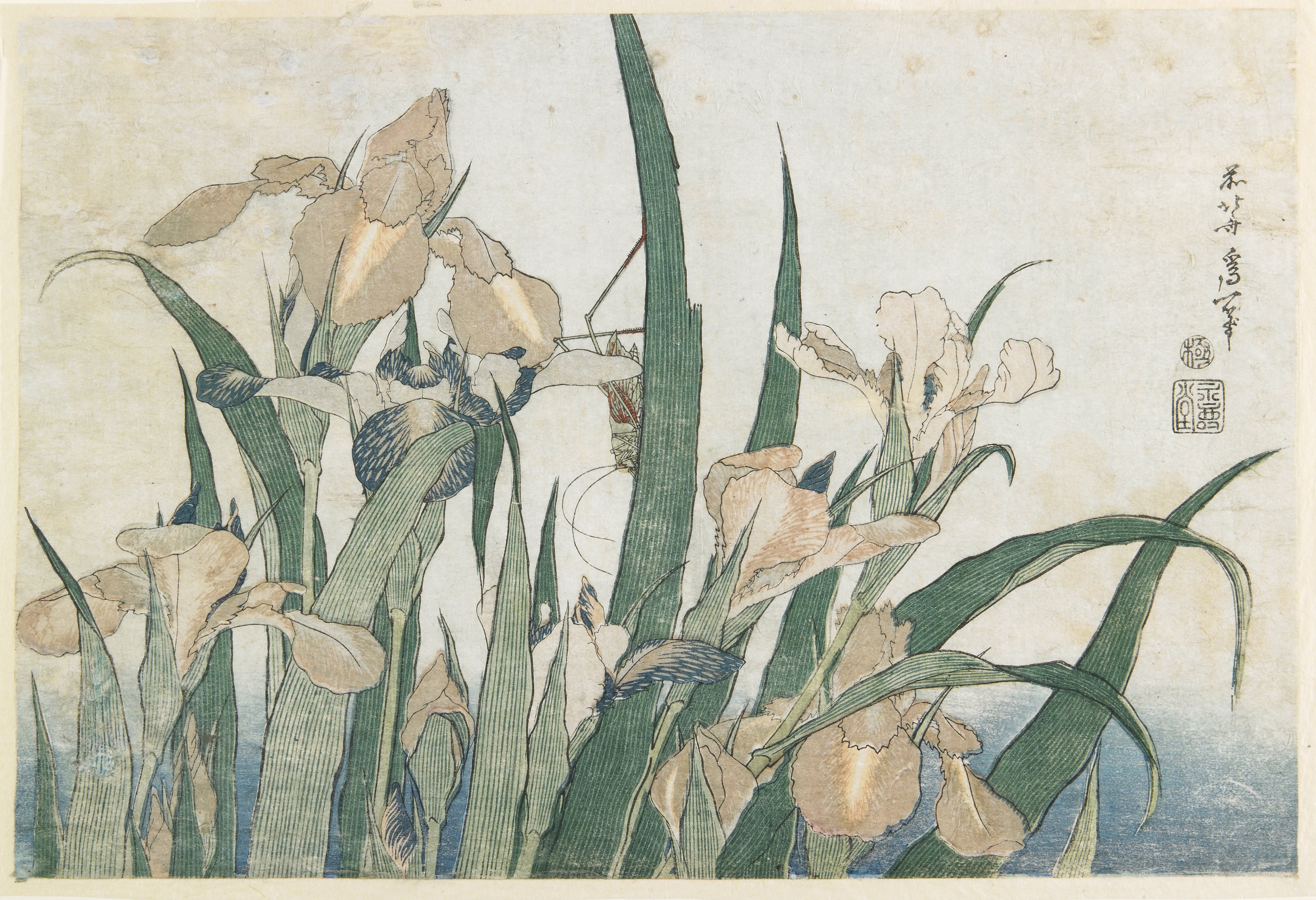 《鸢尾花和蚱蜢》（Irises and Grasshopper）｜葛饰北斋 Katsushika Hokusai｜约 1833-1834