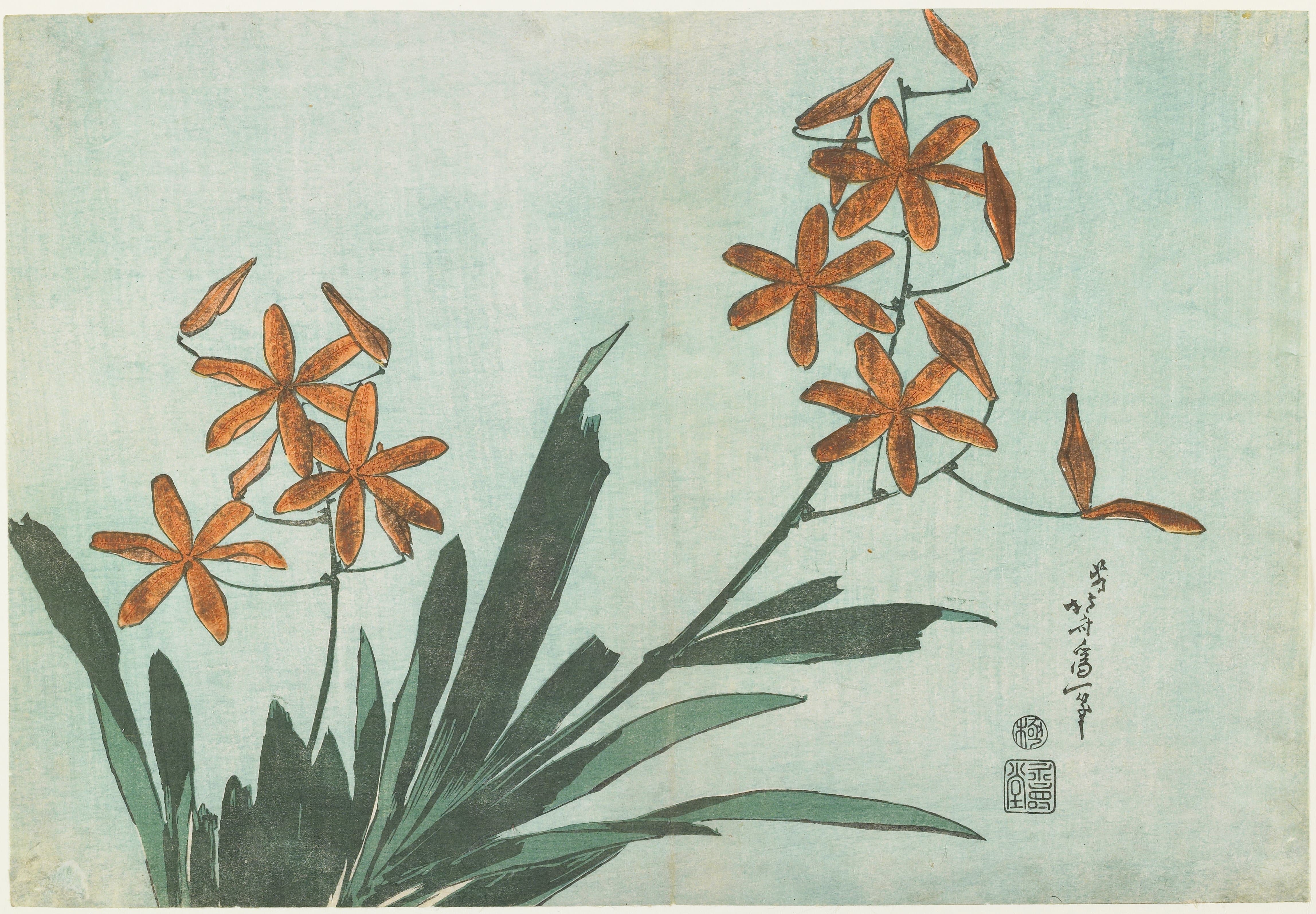 《豹纹百合》（Leopard Lily）｜葛饰北斋 Katsushika Hokusai｜约 1833-1834