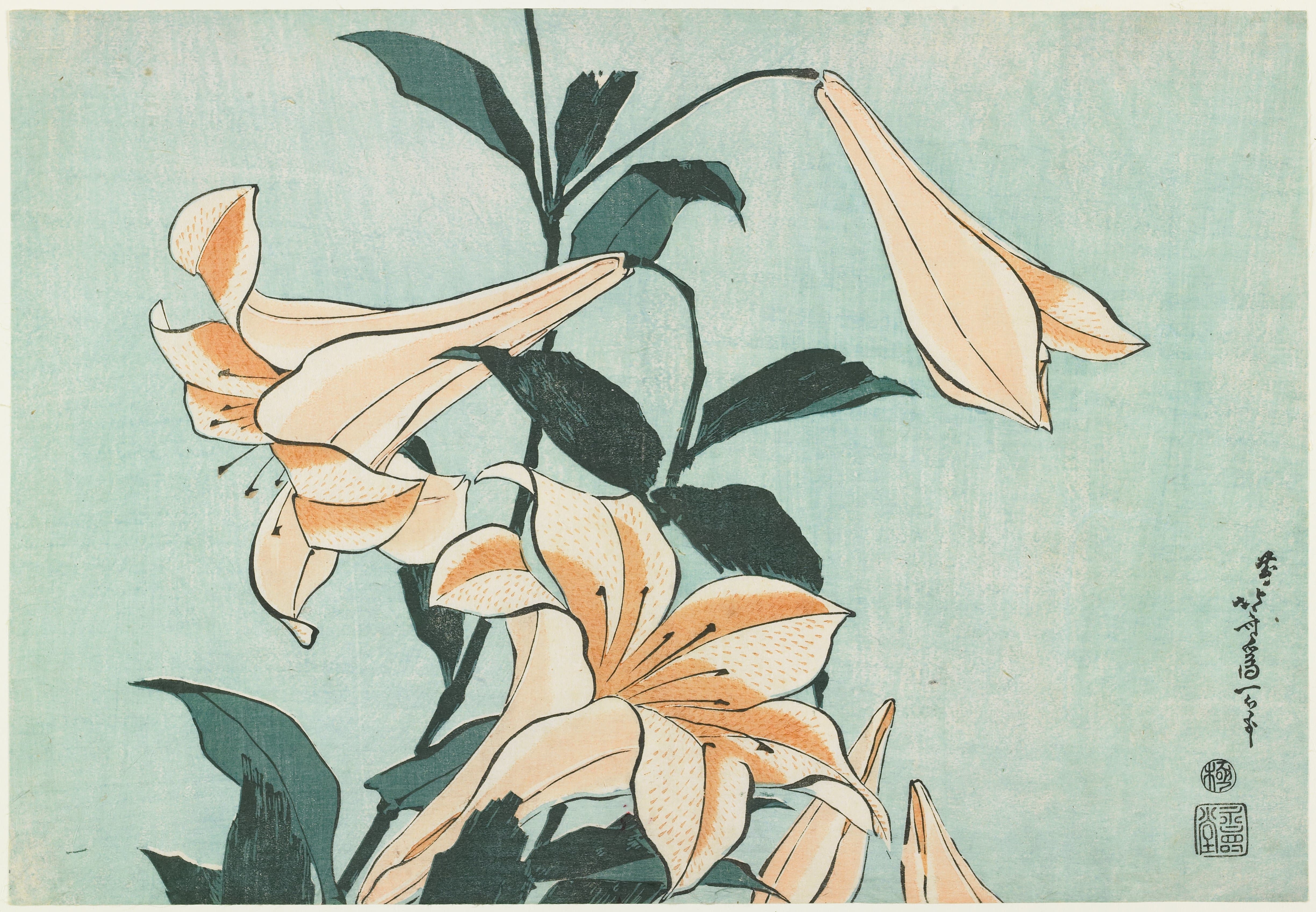 《百合花》（Lilies）｜葛饰北斋 Katsushika Hokusai｜约 1833-1834