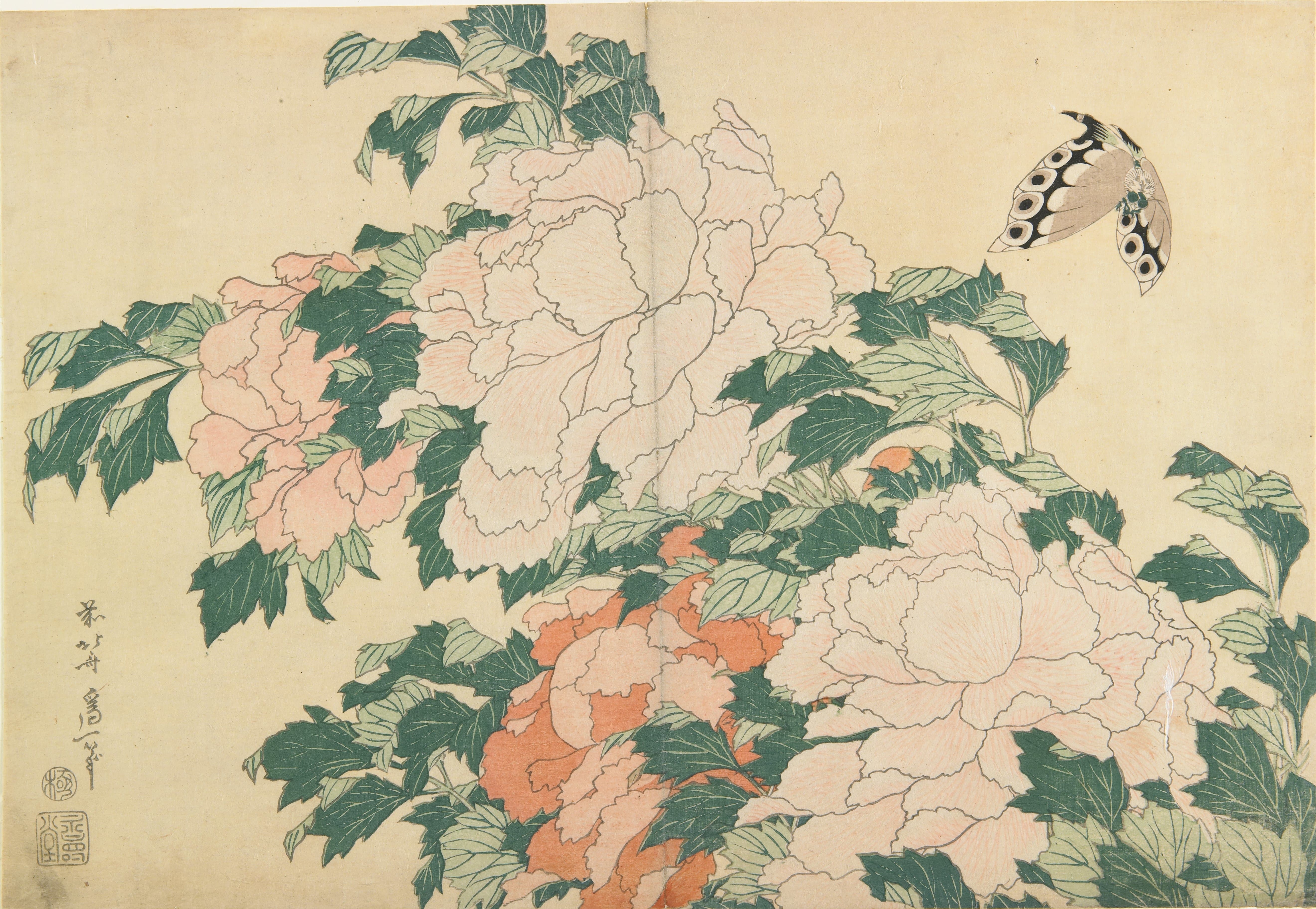 《牡丹与蝴蝶》（Peonies and Butterfly）｜葛饰北斋 Katsushika Hokusai｜约 1833-1834