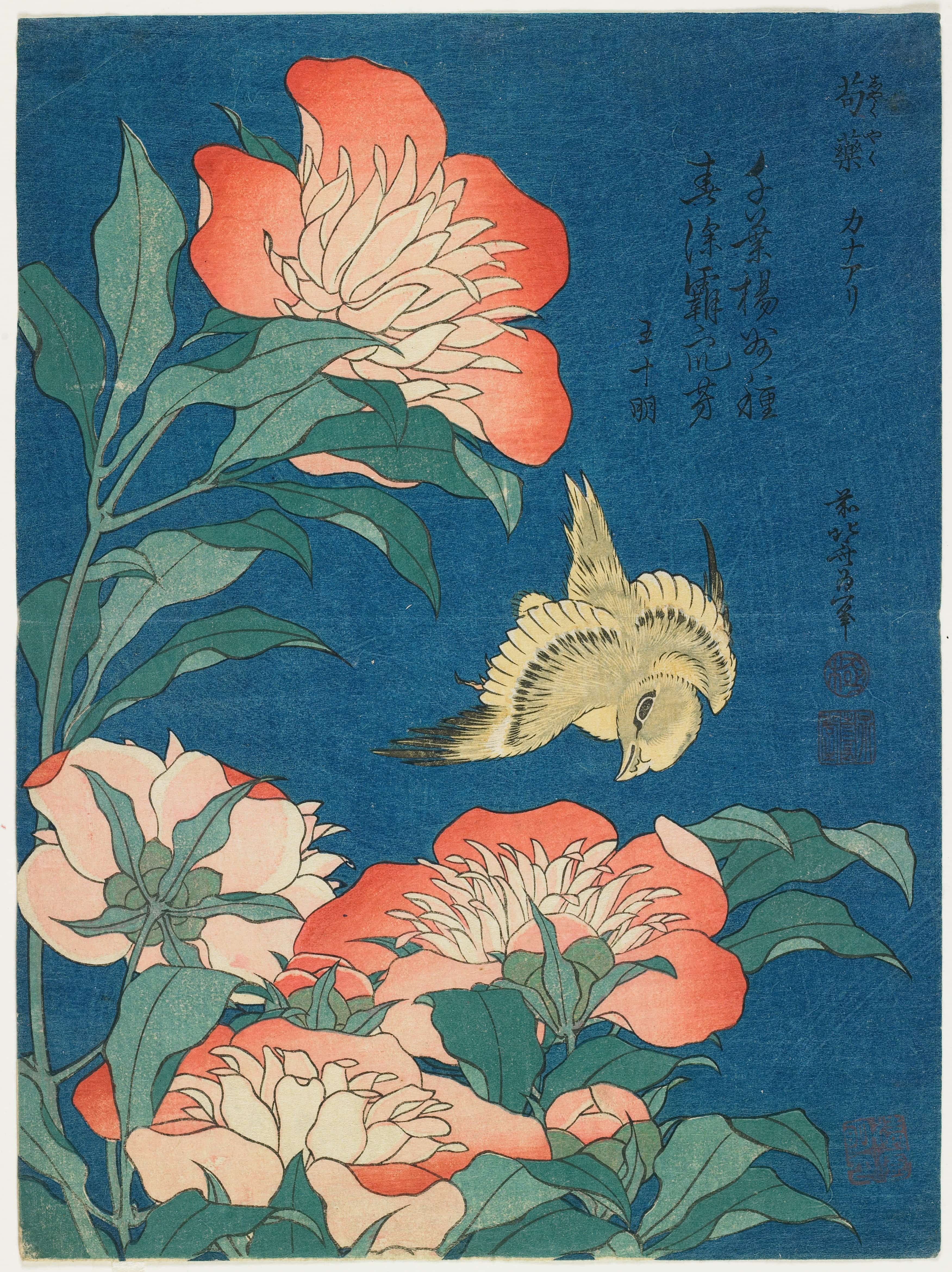 《牡丹和金丝雀》（Peonies and Canary）｜葛饰北斋 Katsushika Hokusai｜约 1834