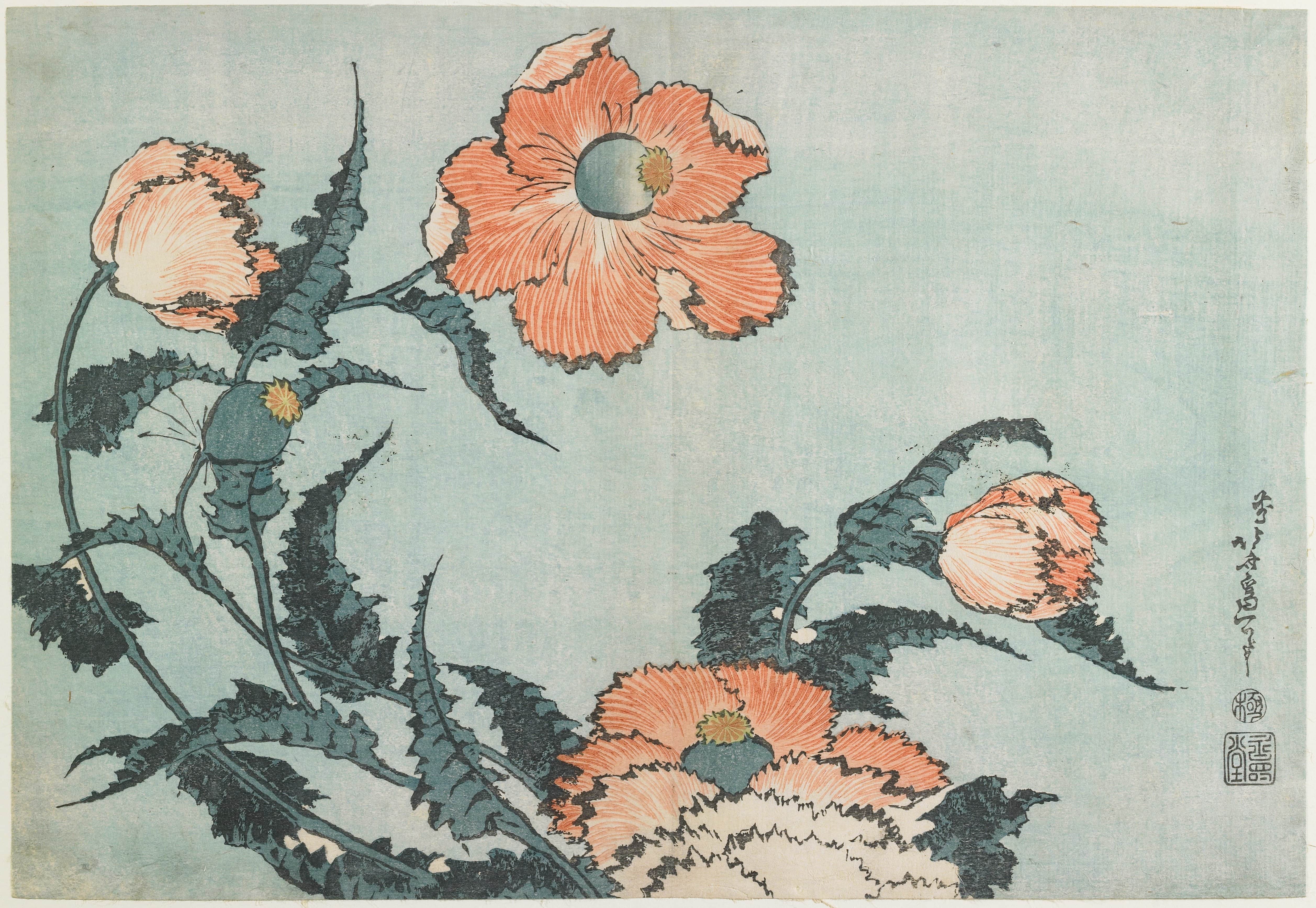 《罂粟花》（Poppies）｜葛饰北斋 Katsushika Hokusai｜约 1833-1834