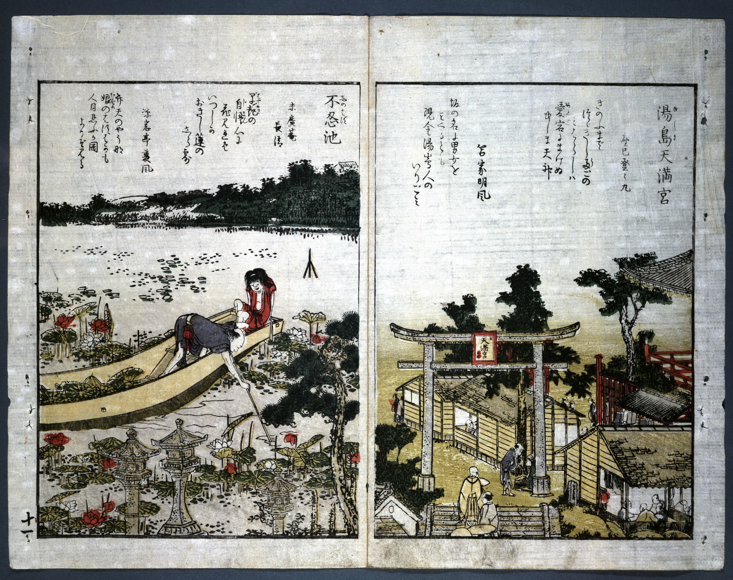 江户 (29)
