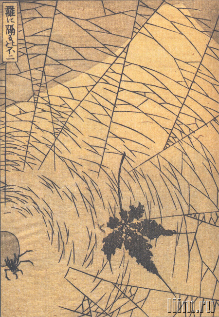 《《富岳百景》第071图：蜘蛛网中的富士山》（71. Fuji through the spider web）｜葛饰北斋 Katsushika Hokusai｜1835-1847