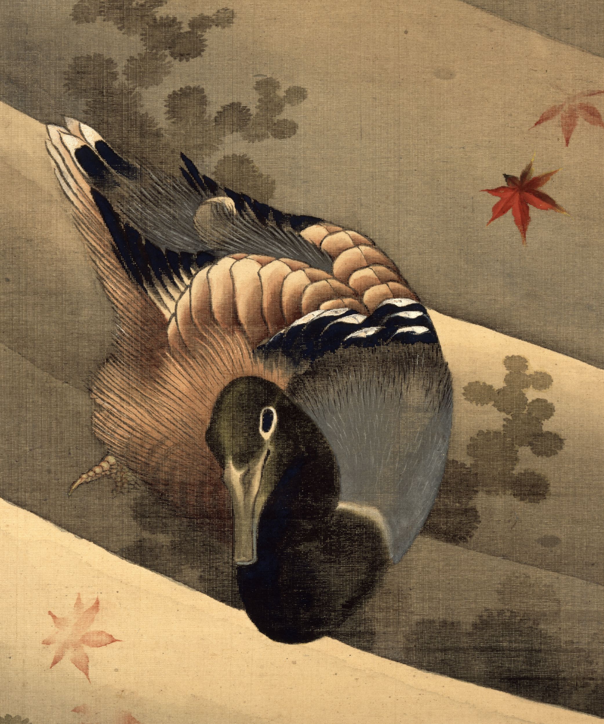 《一对鸭子在水中细节》（Pair of ducks in water detail）｜葛饰北斋 Katsushika Hokusai｜19世纪
