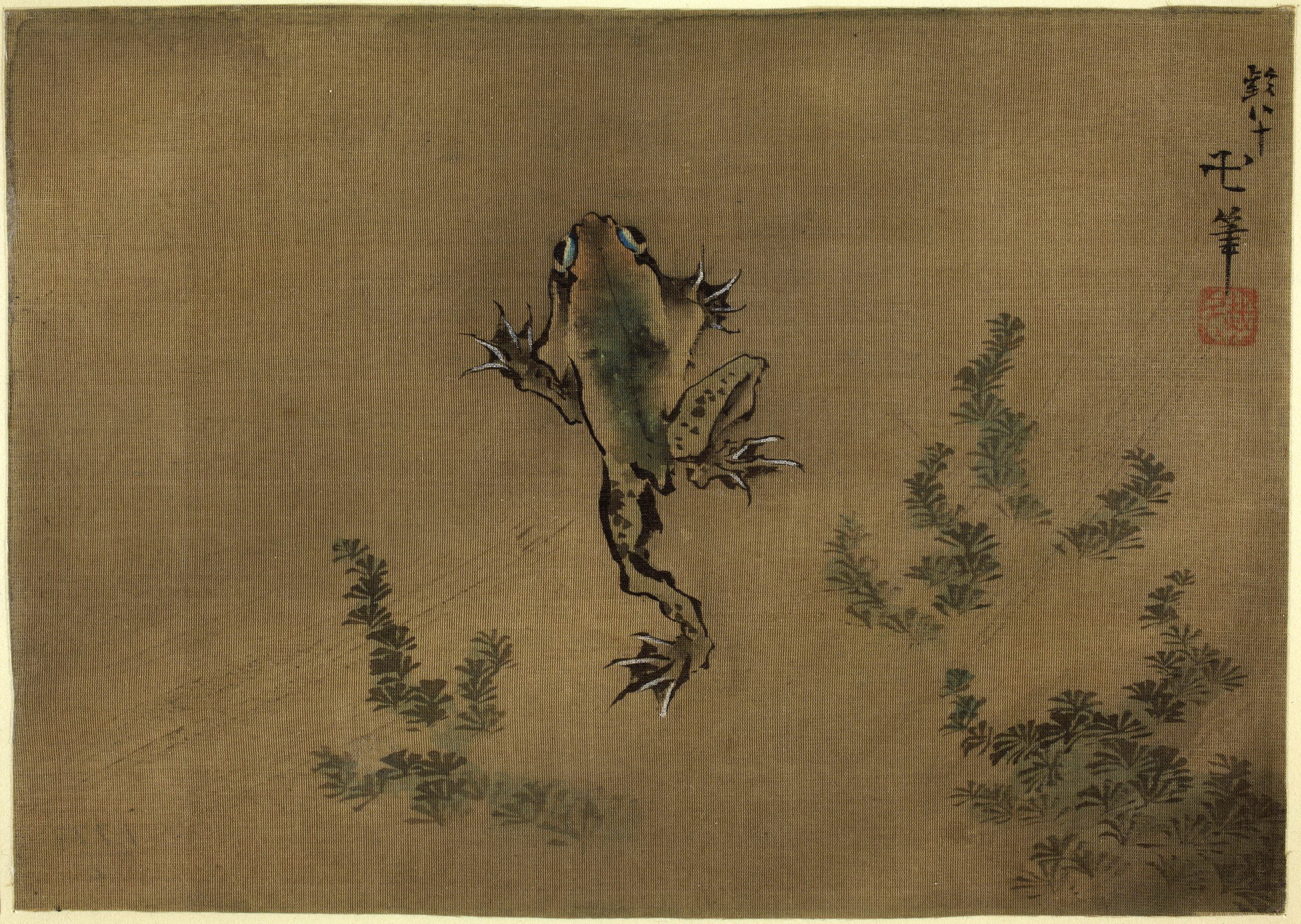《素描。漂浮在海藻丝上的青蛙 伦敦，大英博物馆》（Sketch. Frog floating over seaweed silk London, British Museum）｜葛饰北斋 Katsushika Hokusai｜19世纪