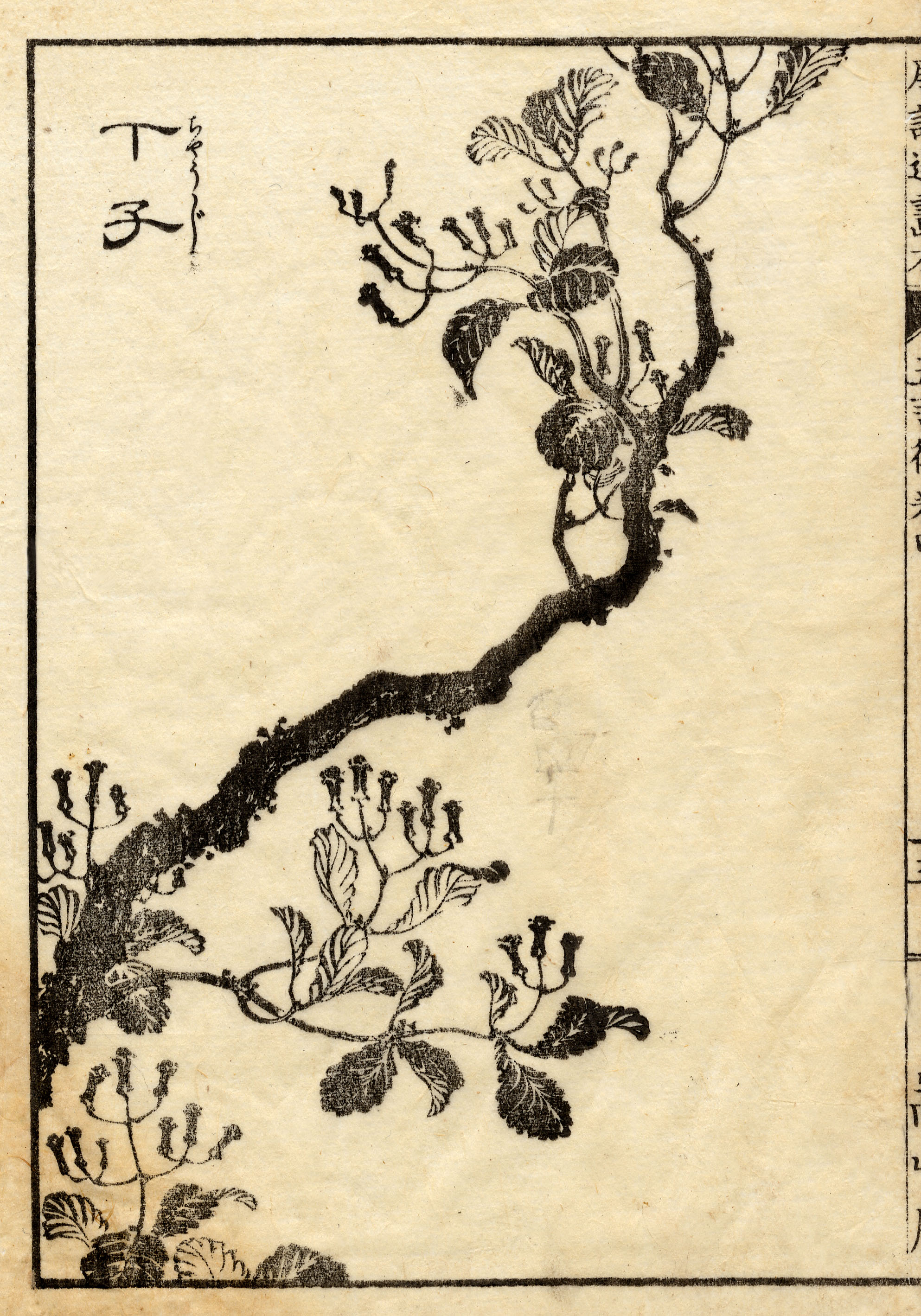 《葛饰北斋作品集第067图》（Katsushika Hokusai Works, Plate 67）｜葛饰北斋 Katsushika Hokusai｜19世纪