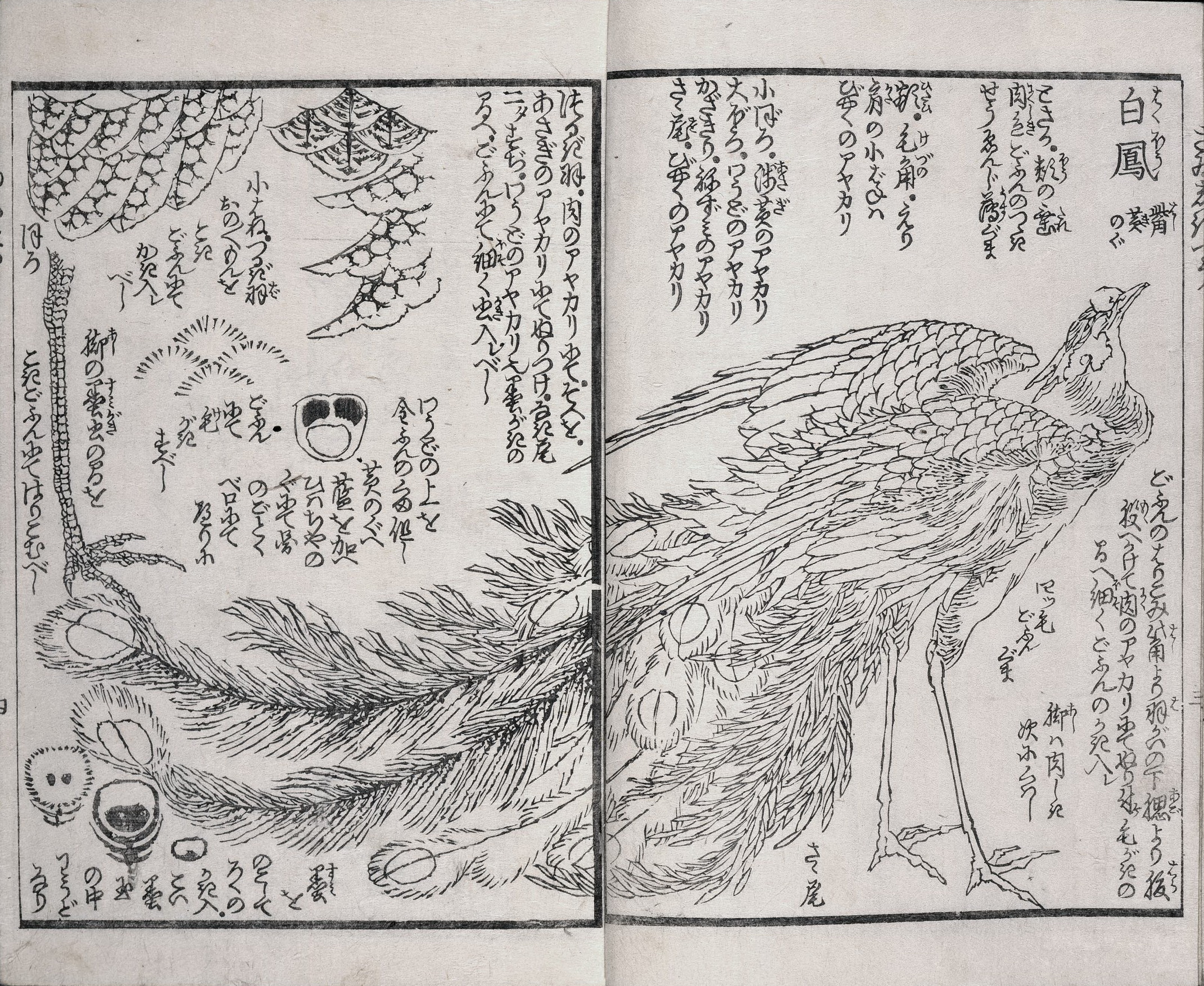《最色通1848》（Saishiki Tsu 1848）｜葛饰北斋 Katsushika Hokusai｜1848