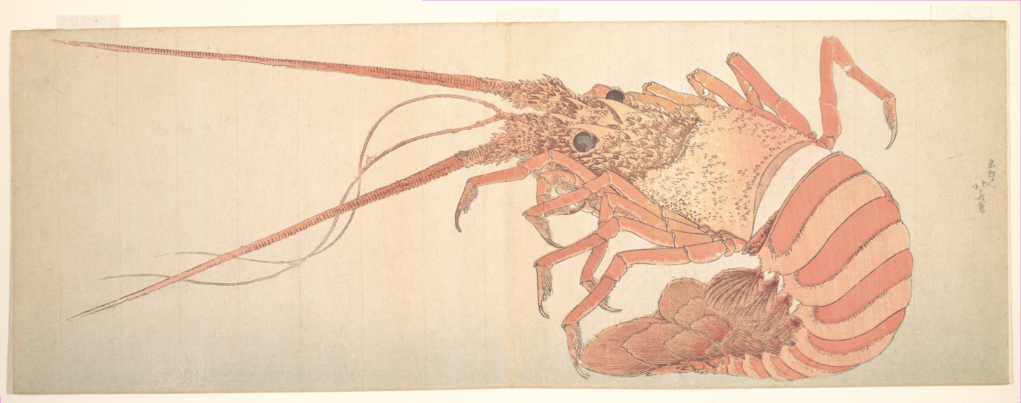 《龙虾 1800-1815》（Lobster 1800-1815）｜葛饰北斋 Katsushika Hokusai｜1800-1815