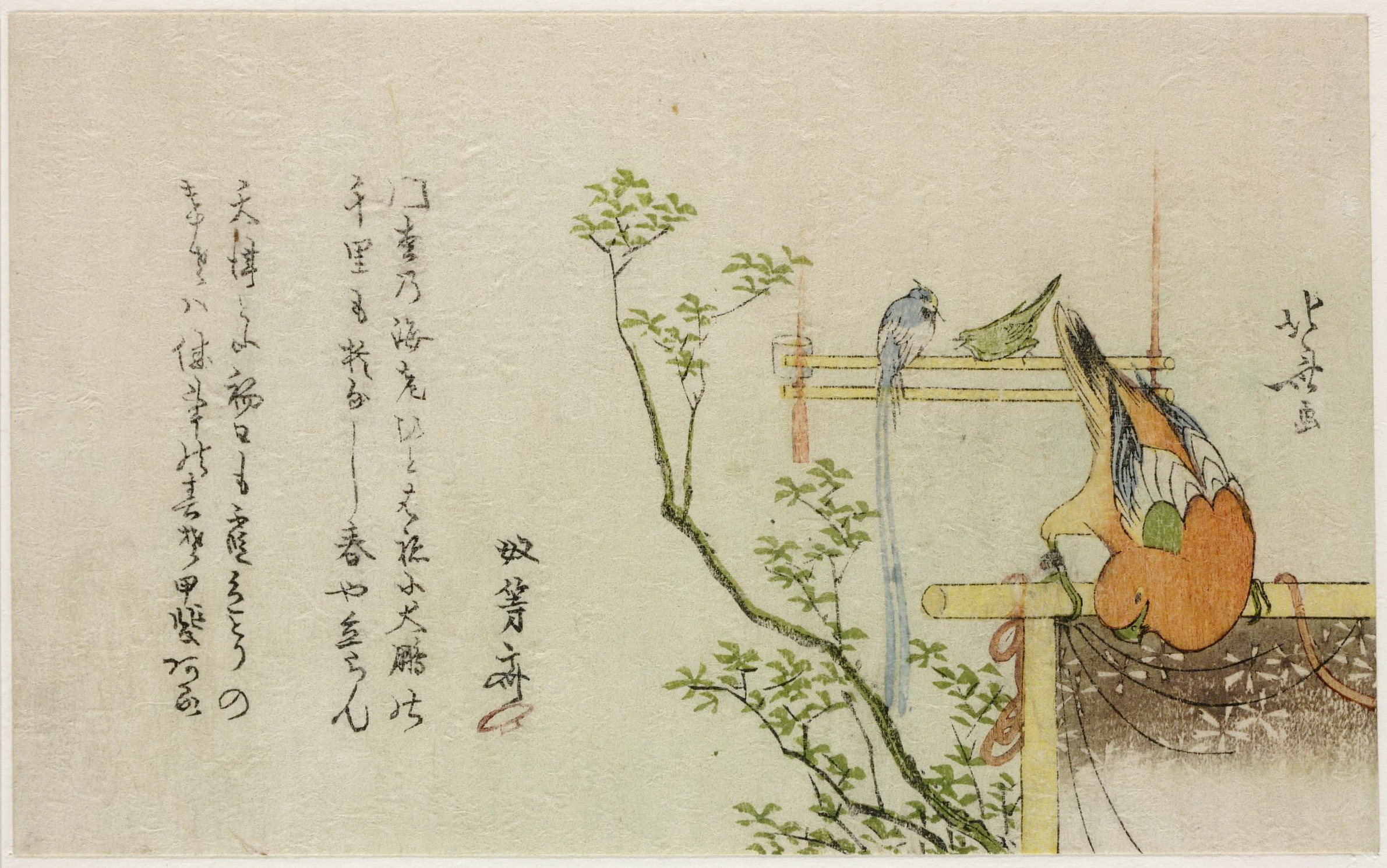 《鹦鹉与另外两只观赏鸟》（Parrot with two other ornamental birds）｜葛饰北斋 Katsushika Hokusai｜19世纪初