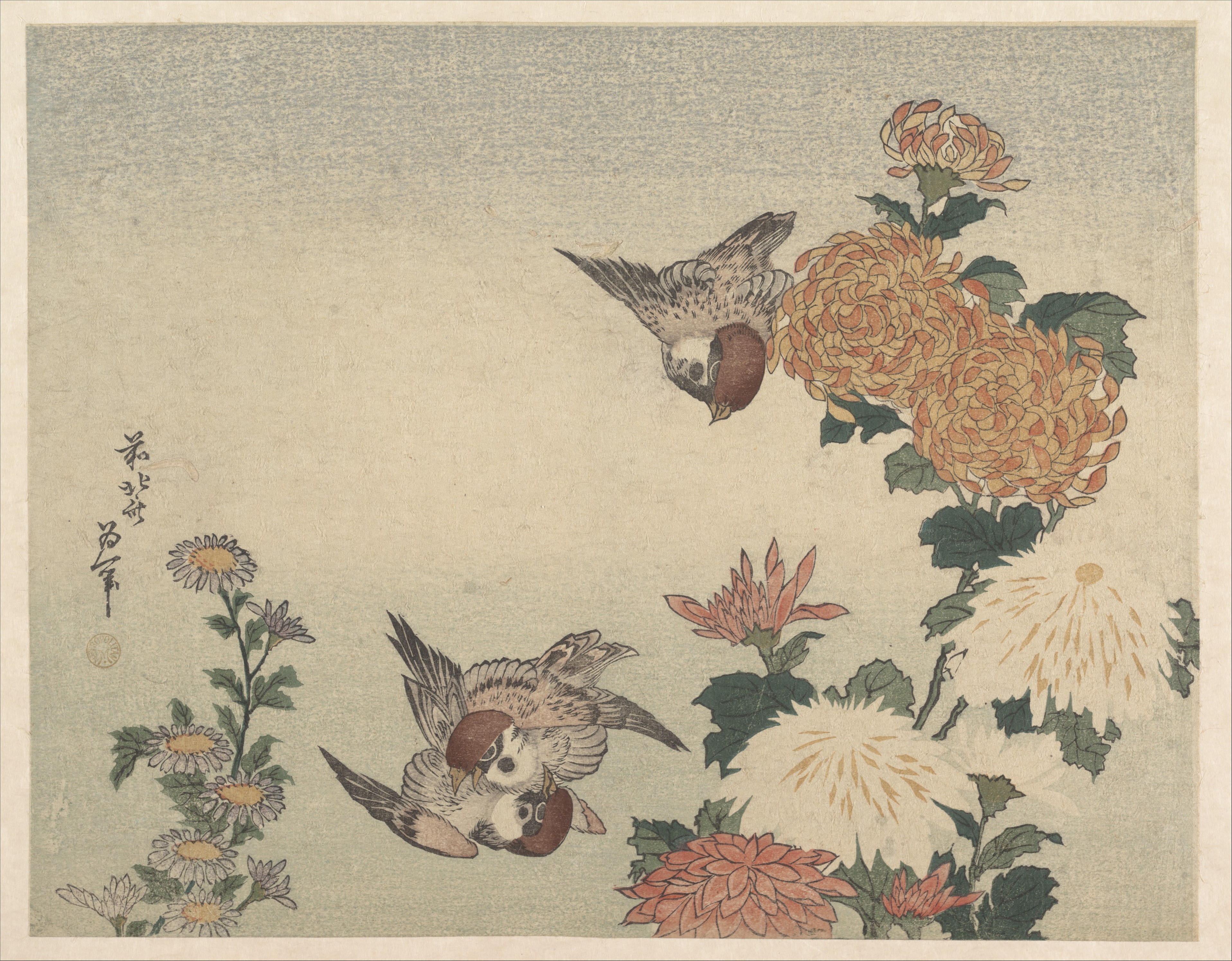 《麻雀与菊花》（Sparrows and Chrysanthemums）｜葛饰北斋 Katsushika Hokusai｜1825