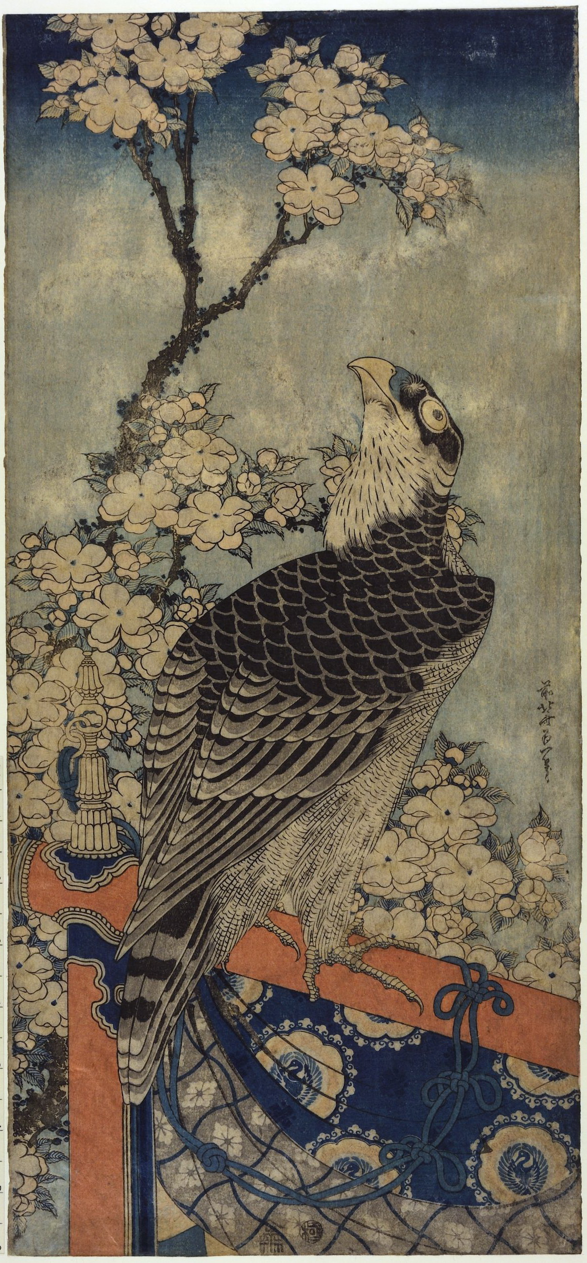 《猎鹰和樱花》（Falcon and cherry blossoms）｜葛饰北斋 Katsushika Hokusai｜19世纪