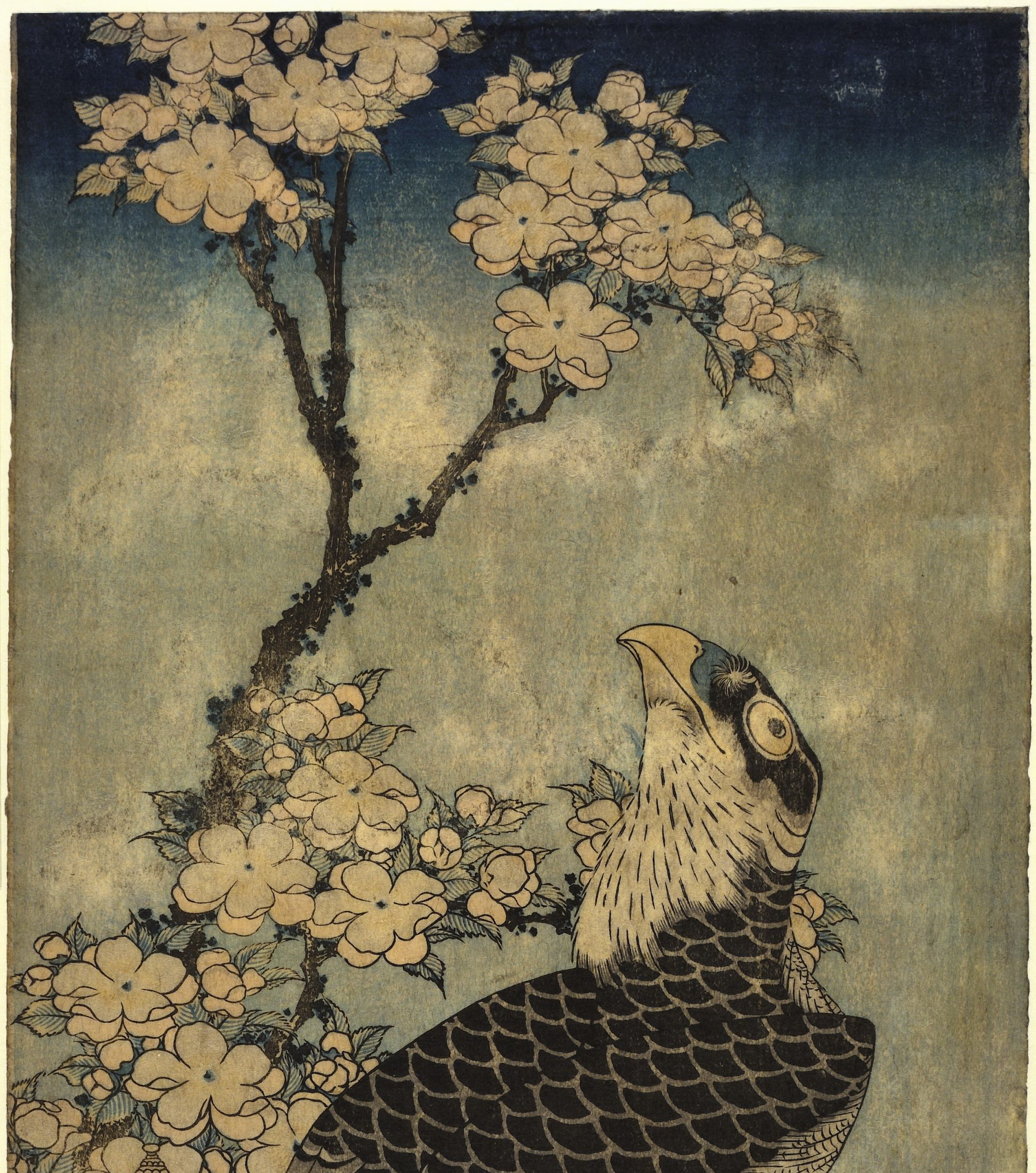 《猎鹰和樱花叶 1》（Falcon and cherry blossom leaf 1）｜葛饰北斋 Katsushika Hokusai｜19世纪