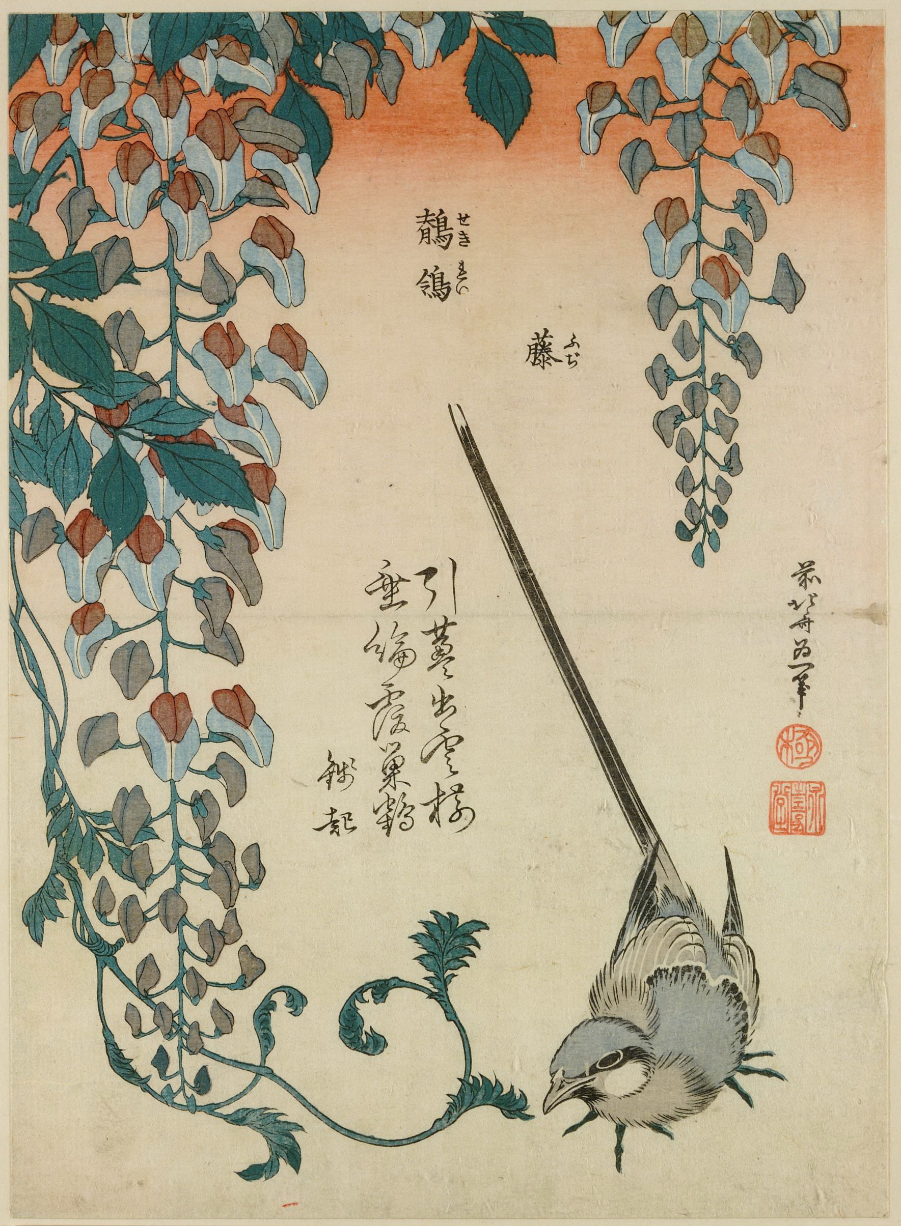 《鹡鸰和紫藤 约 1828》（Wagtail and wisteria 约 1828）｜葛饰北斋 Katsushika Hokusai｜1828