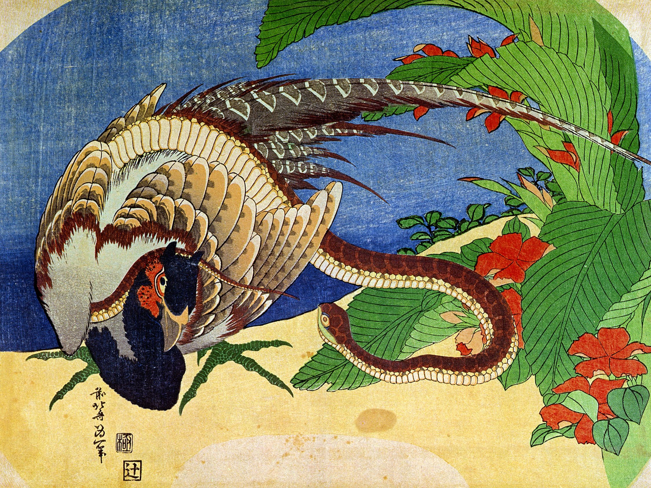 《雉鸡和蛇》（Pheasant and snake）｜葛饰北斋 Katsushika Hokusai｜19世纪