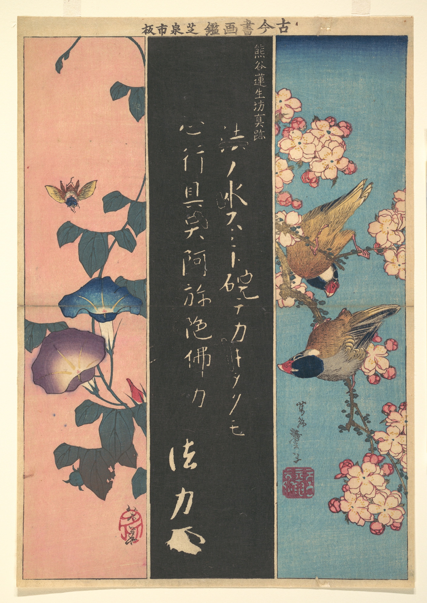 《花鸟1816-1820》（Flowers and birds 1816-1820）｜葛饰北斋 Katsushika Hokusai｜1816-1820