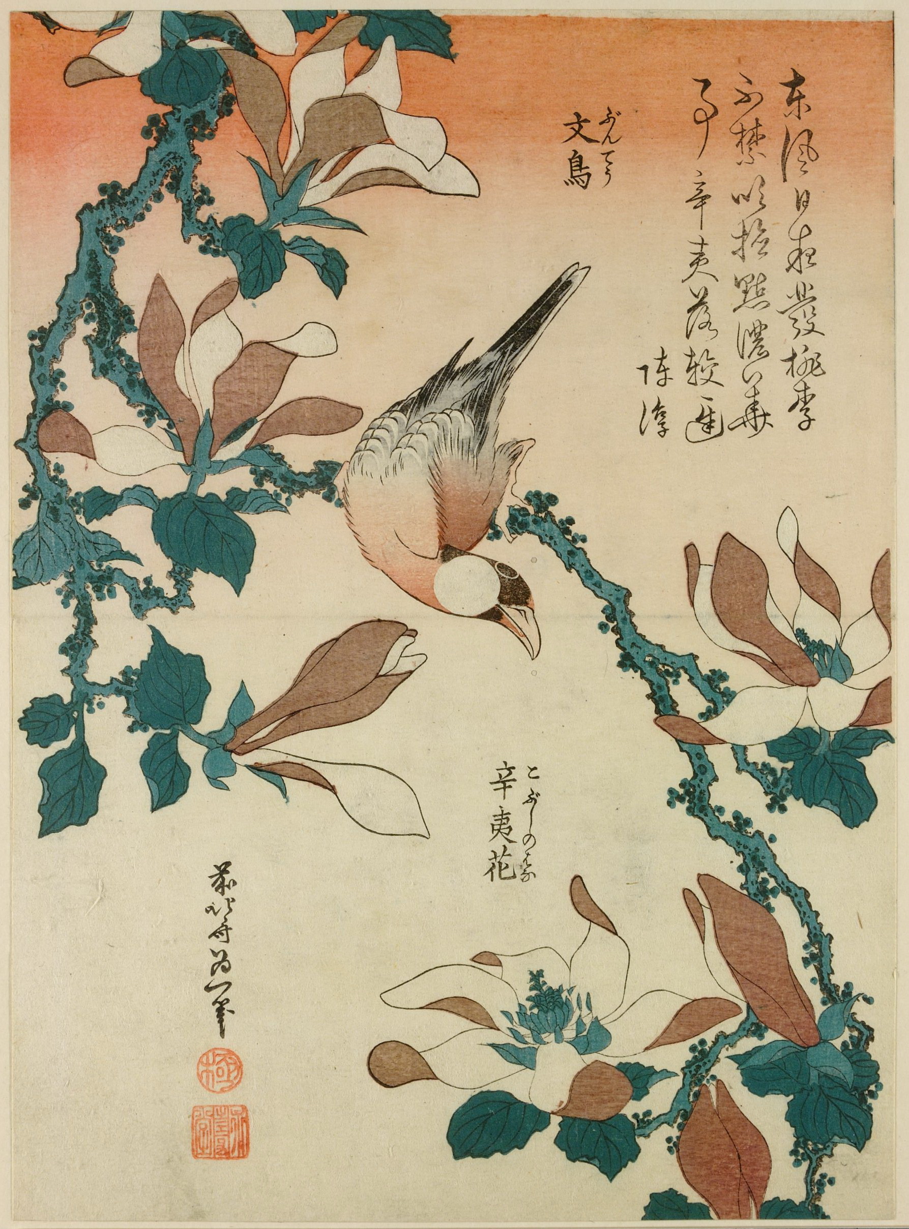 《黄瓜树枝上的爪哇麻雀（绘画）》（Java sparrow (painting) on a cucumber tree branch）｜葛饰北斋 Katsushika Hokusai｜19世纪