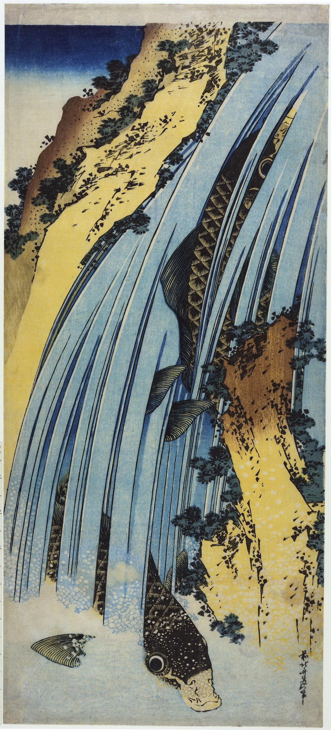 《两条鲤鱼跳过瀑布 1830-1835》（Two carps jumping over a waterfall 1830-1835）｜葛饰北斋 Katsushika Hokusai｜1830-1835