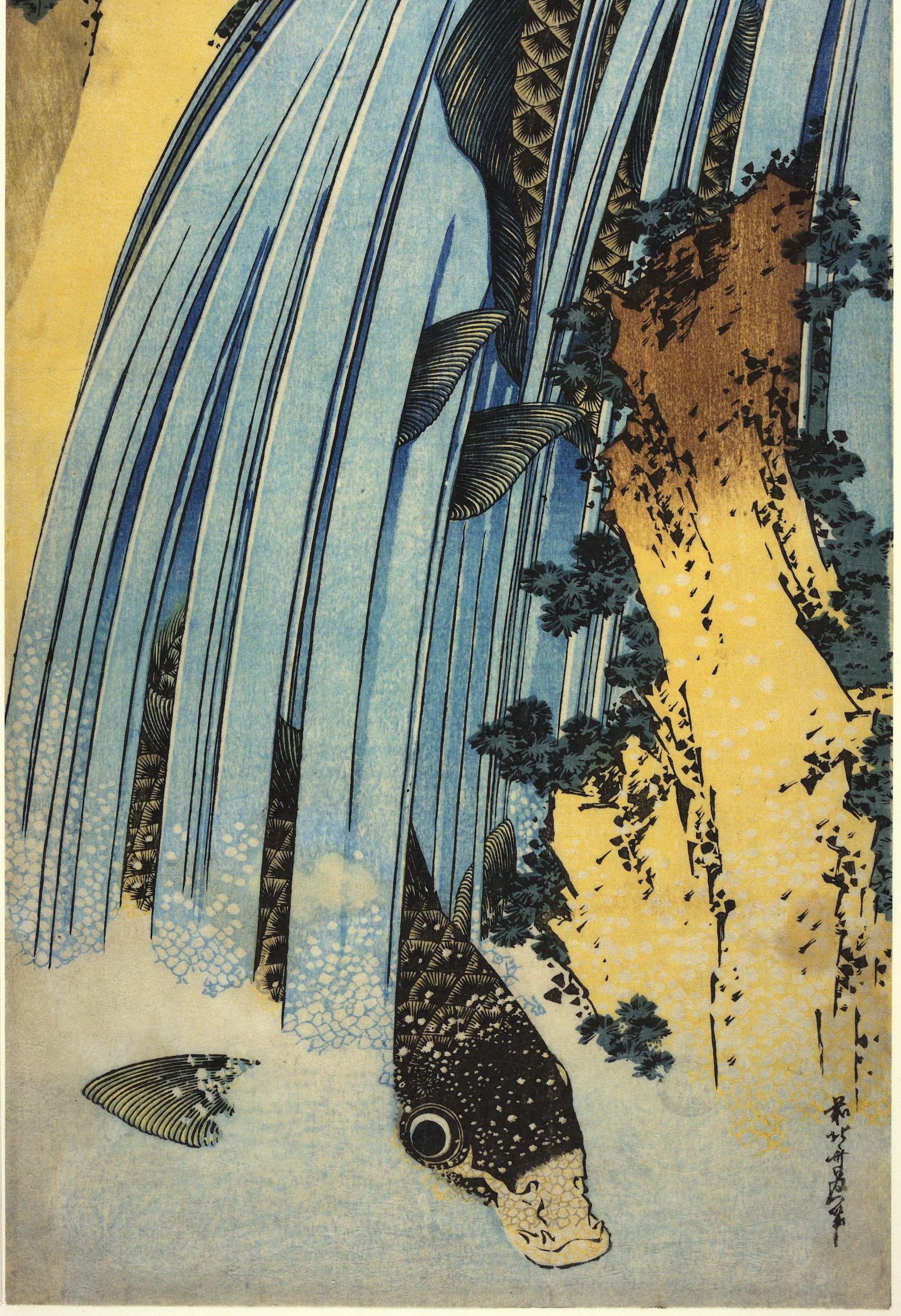 《两条鲤鱼跳过瀑布1830-1835片段2》（Two carps jumping over a waterfall 1830-1835 fragment 2）｜葛饰北斋 Katsushika Hokusai｜1830-1835