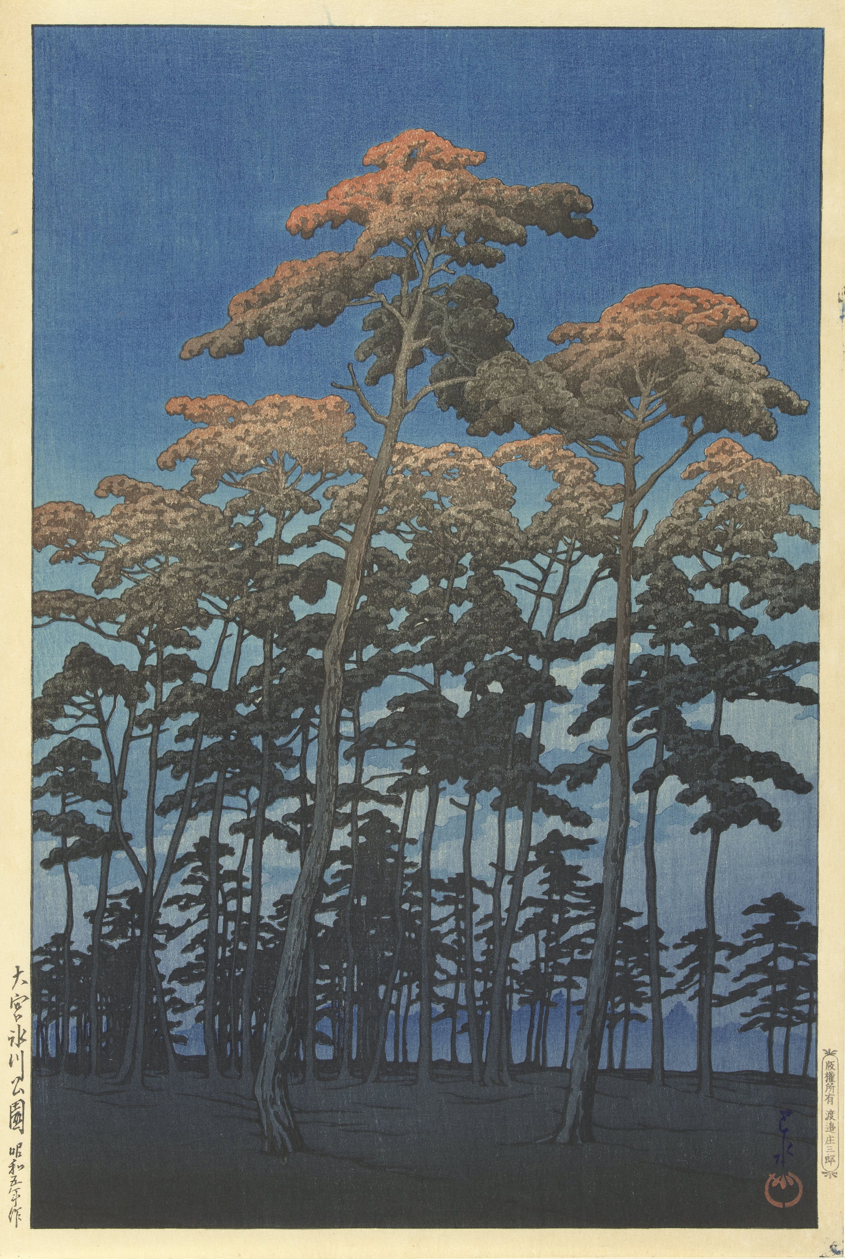 大宫冰川公园