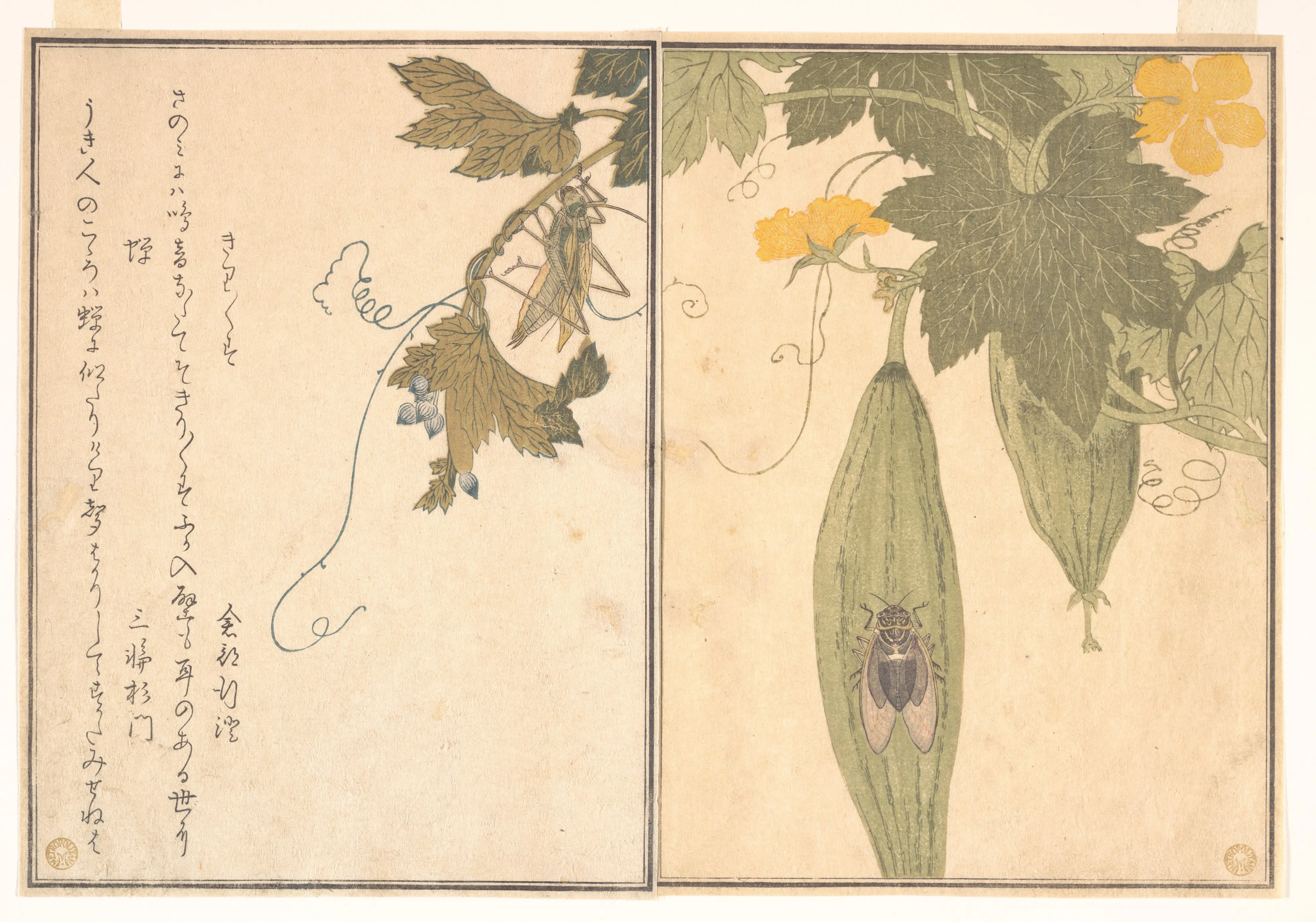 画本虫撰