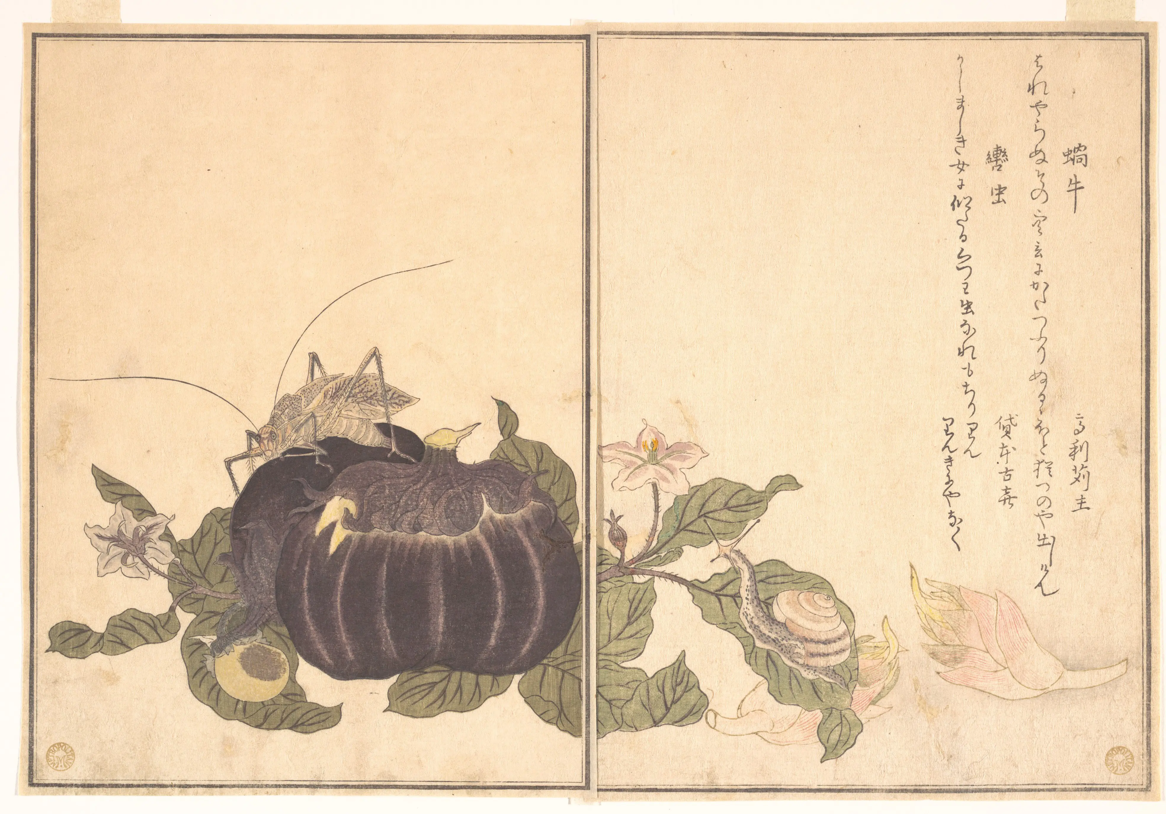 画本虫撰