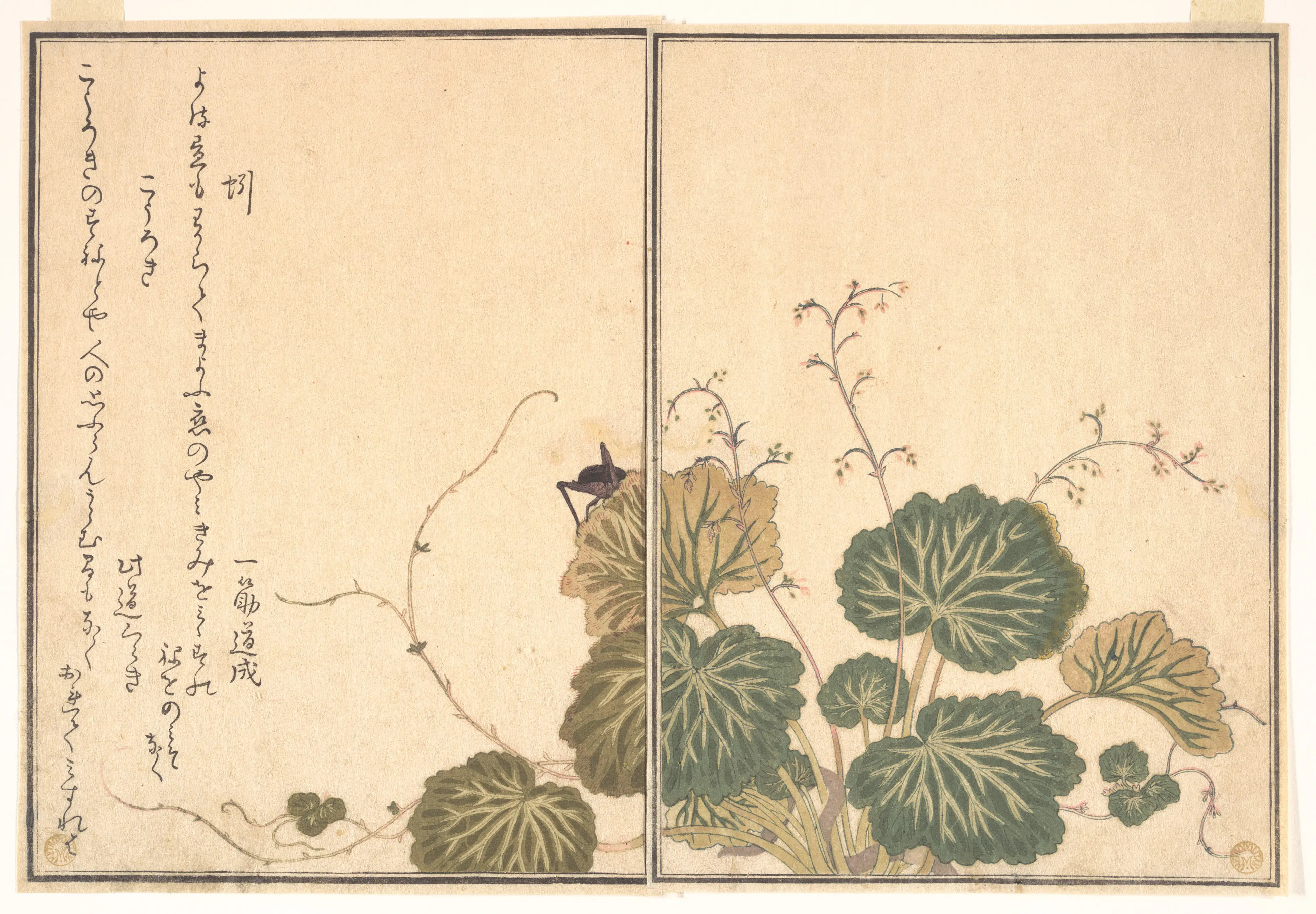 画本虫撰