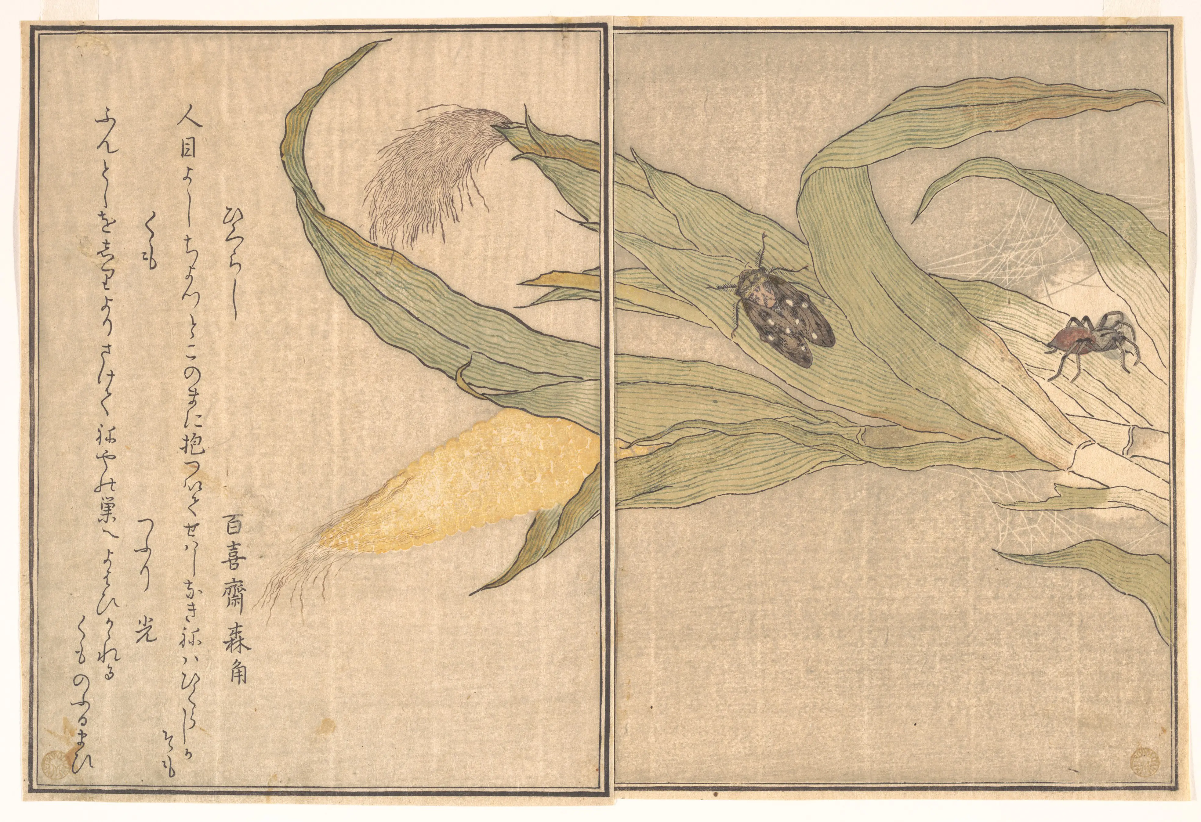 画本虫撰