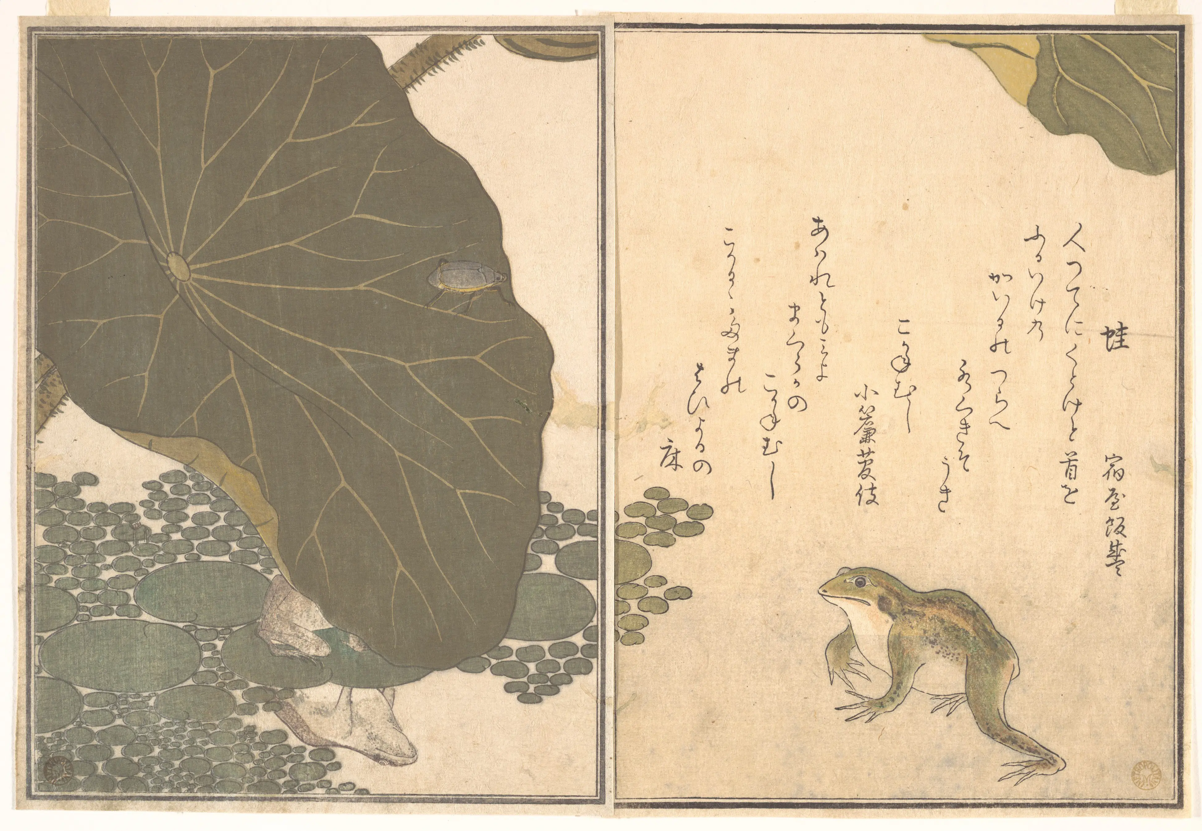 画本虫撰