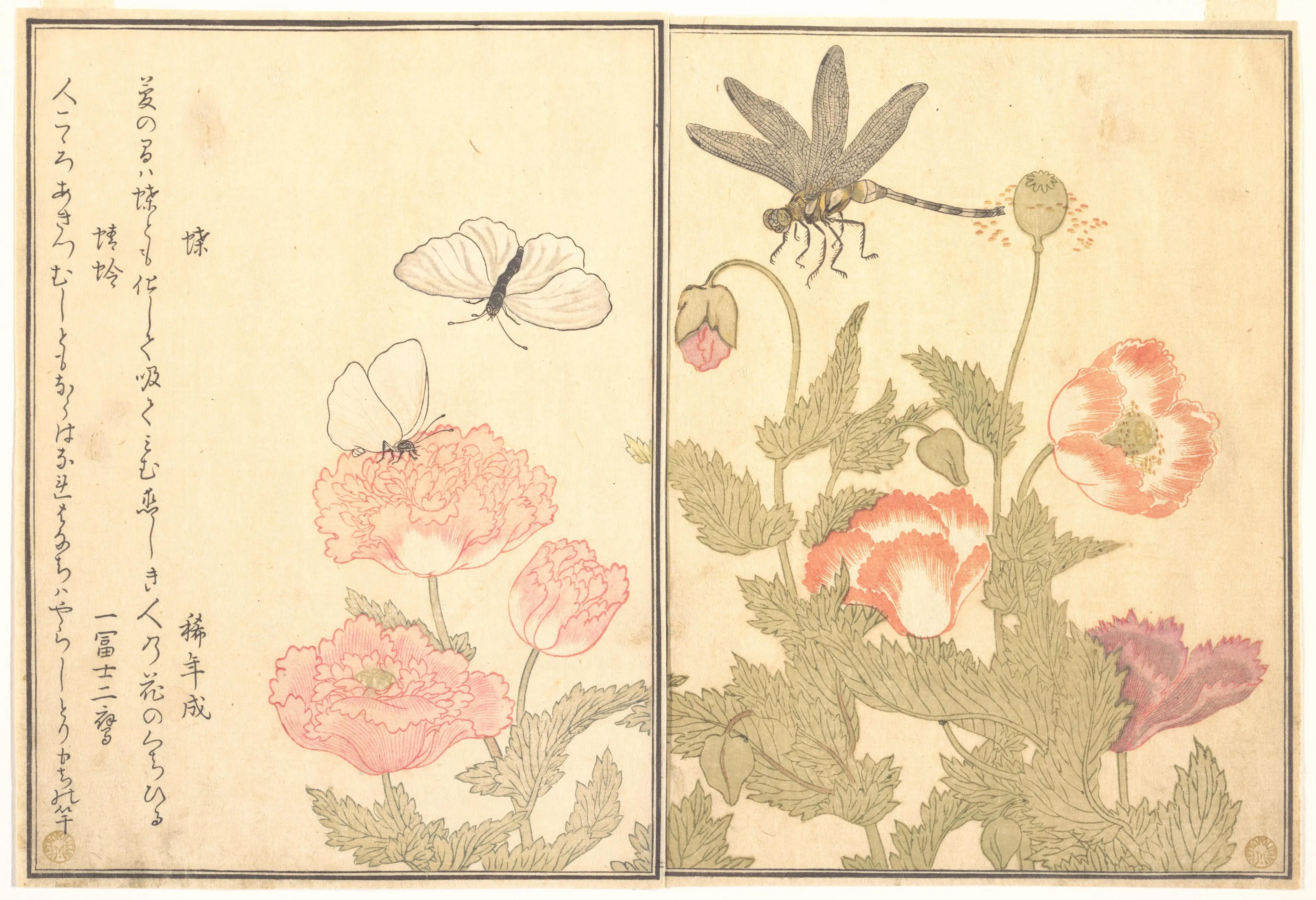 画本虫撰