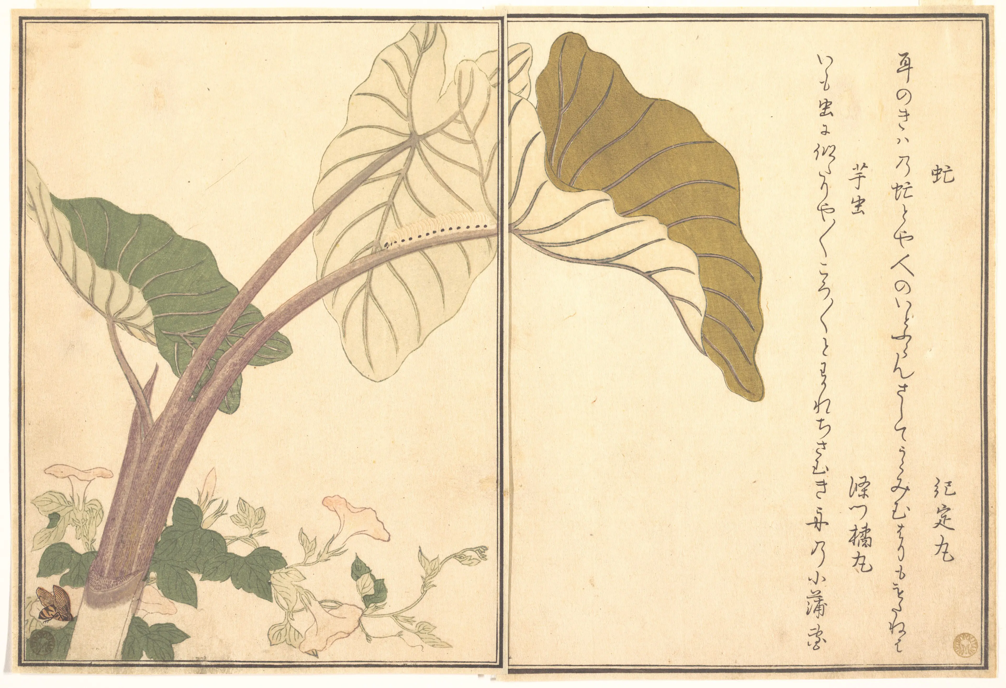 画本虫撰