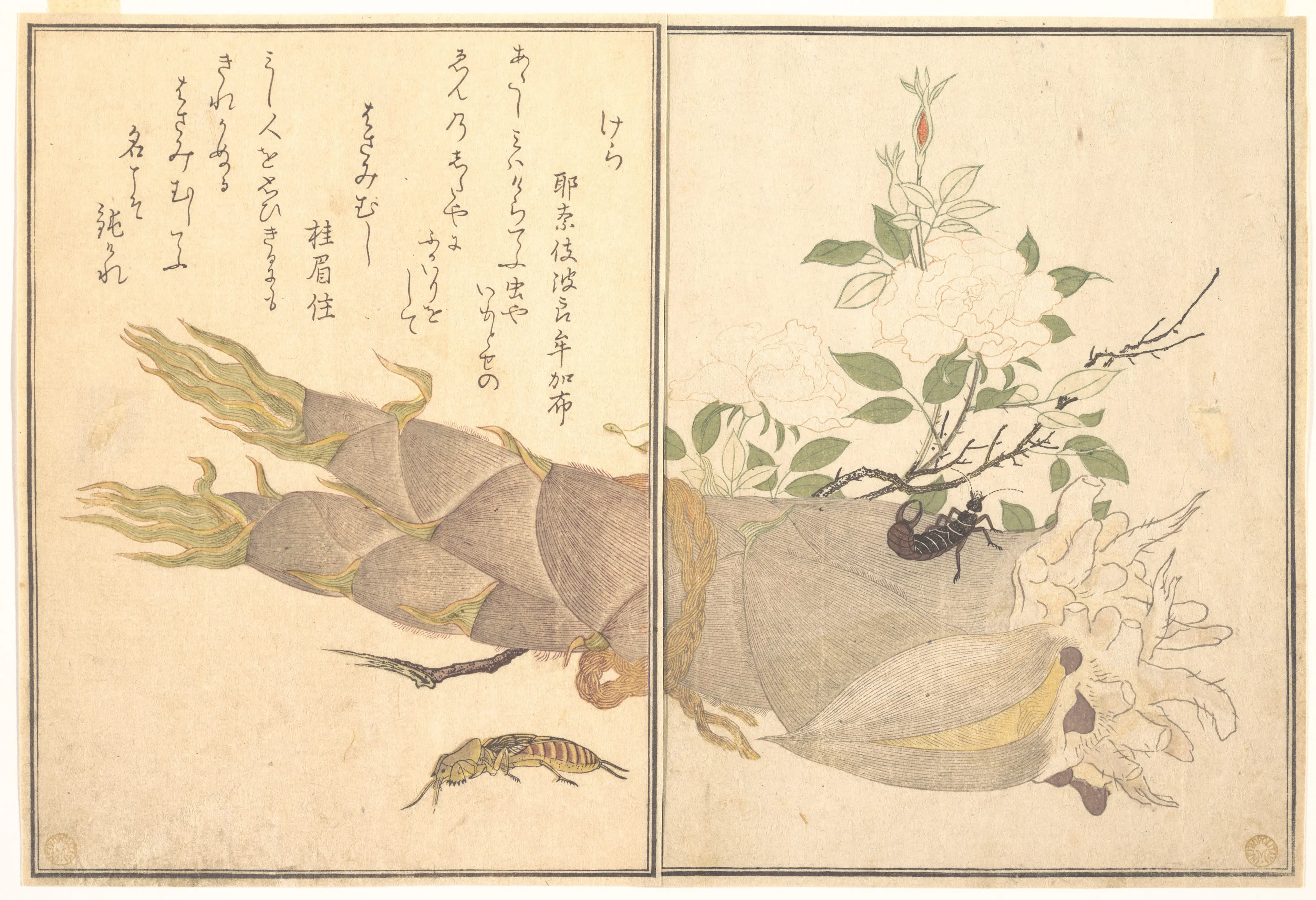 画本虫撰