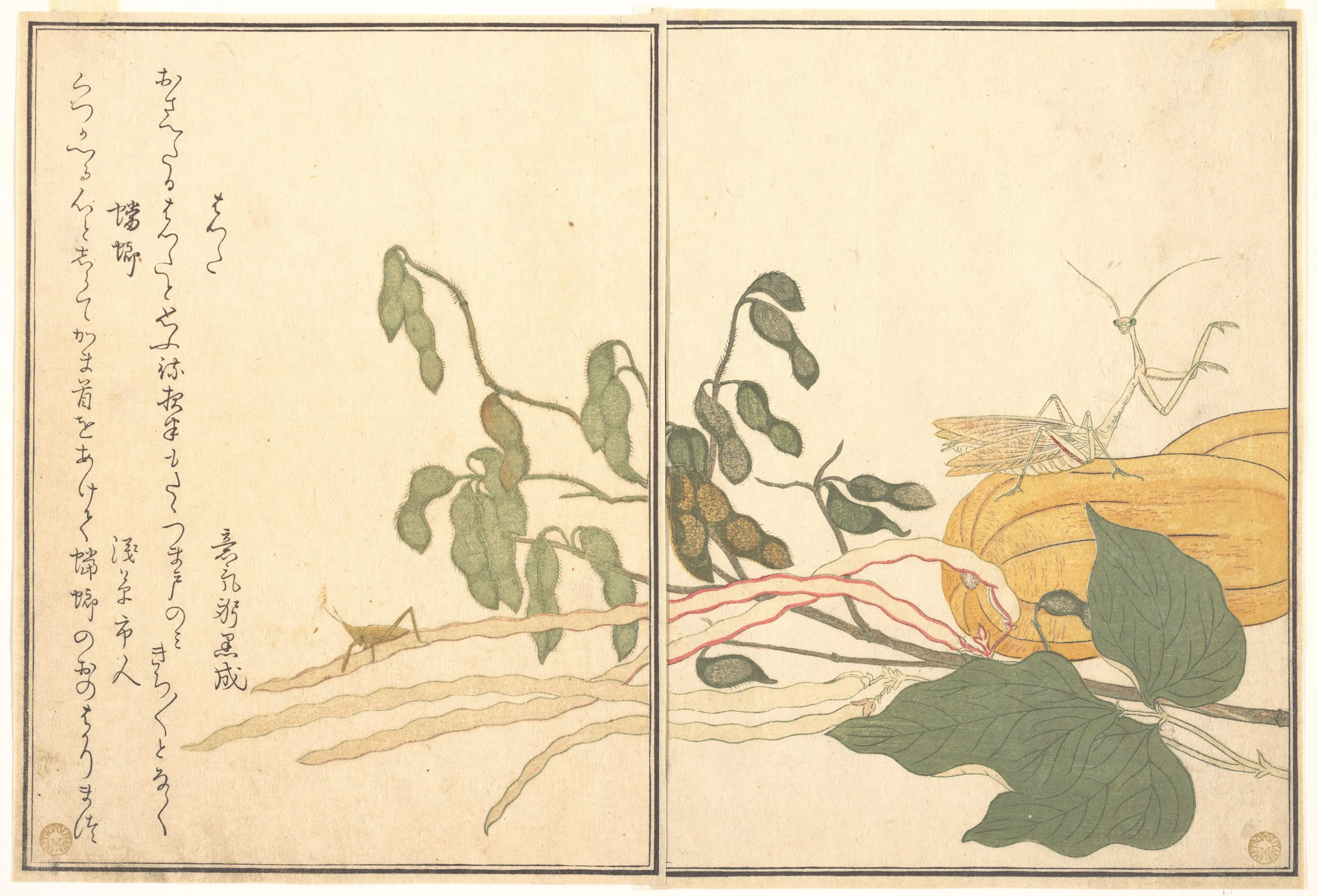 画本虫撰
