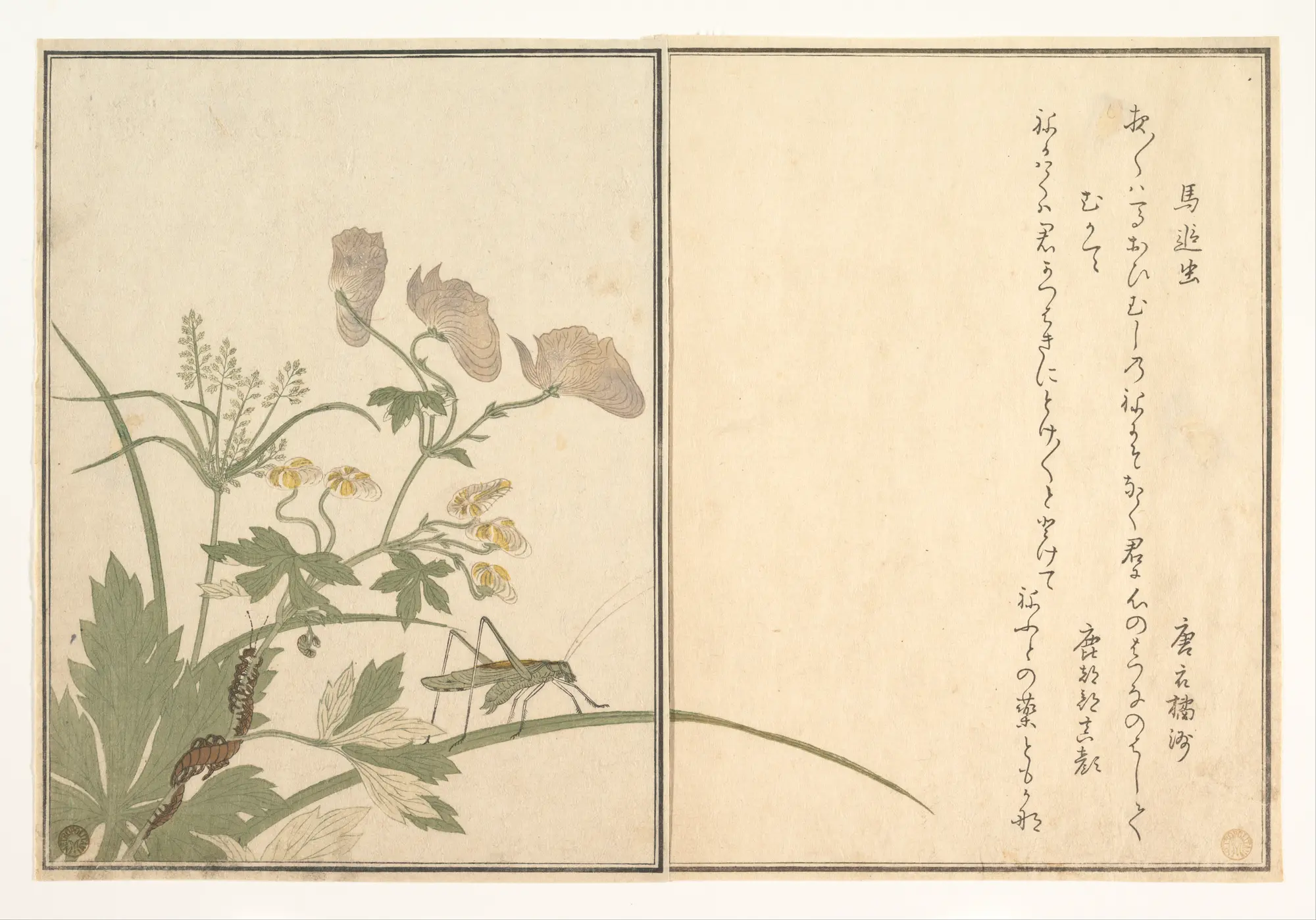 画本虫撰：红蜻蜓与蝗虫