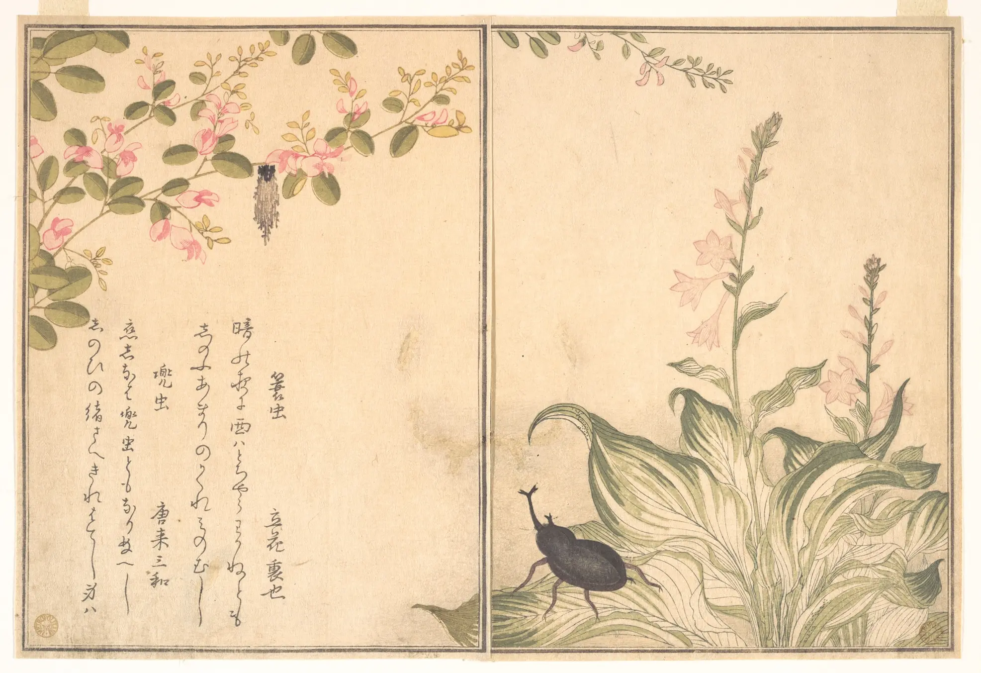 画本虫撰