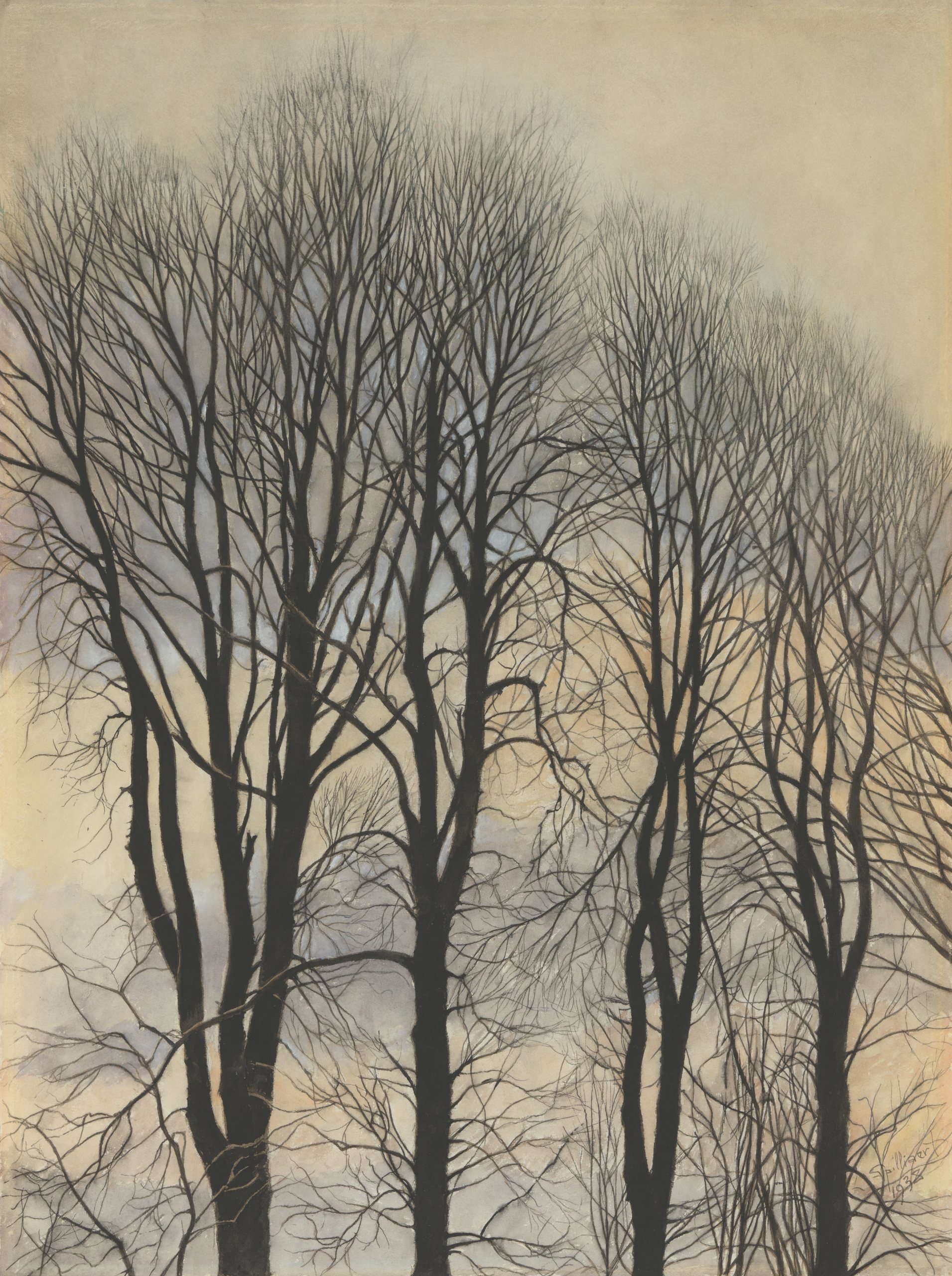 《树与天空》（Tree and Sky）｜莱昂·斯皮里亚特 Léon Spilliaert｜1938