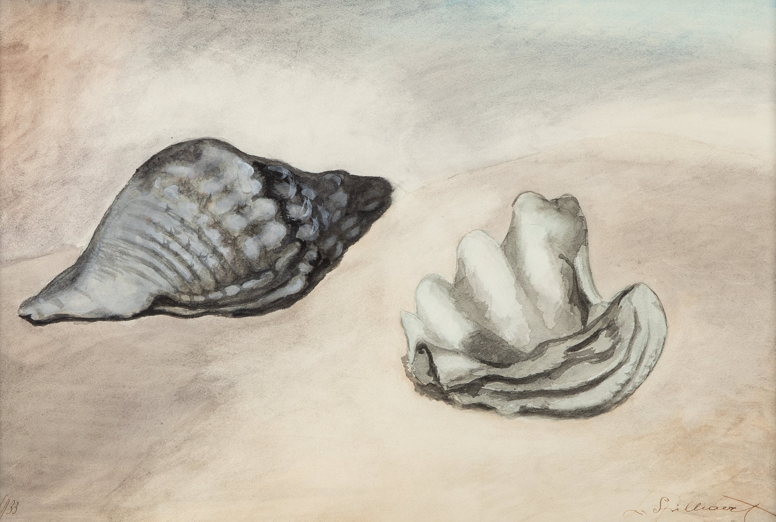 《贝壳》（Shells）｜莱昂·斯皮里亚特 Léon Spilliaert｜1933