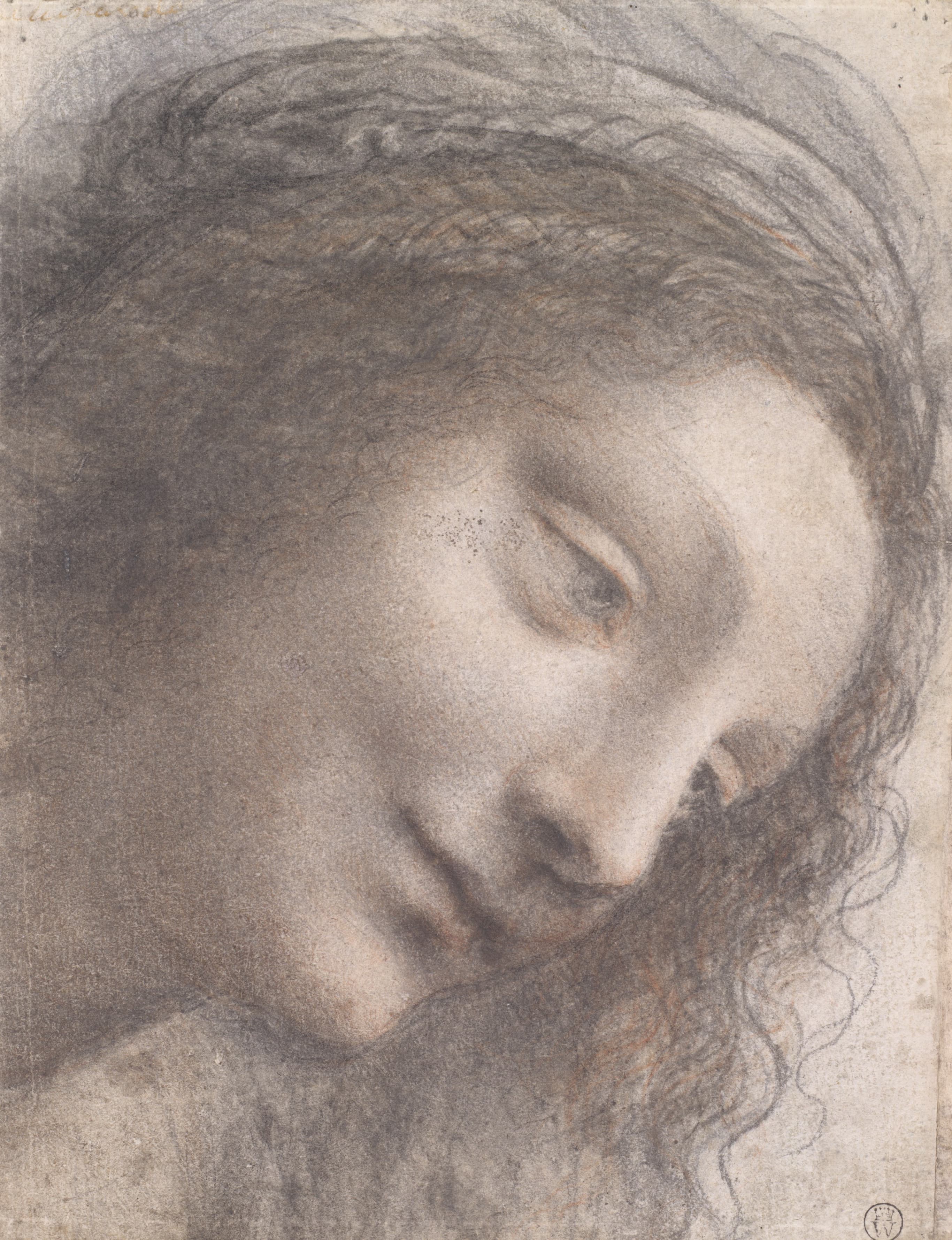 《圣母头像》（Head of the Virgin in Three-Quarter View Facing Right）｜莱奥纳多·达·芬奇 Leonardo da Vinci｜约1510–1513