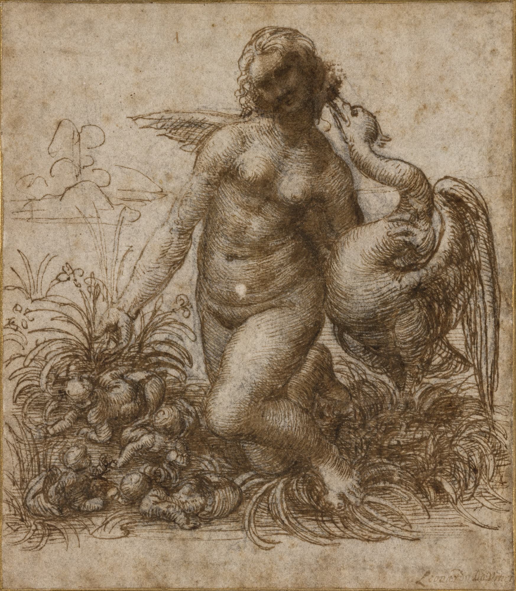 《跪姿丽达习作》（Study for the Kneeling Leda）｜莱奥纳多·达·芬奇 Leonardo da Vinci｜约1503–1507