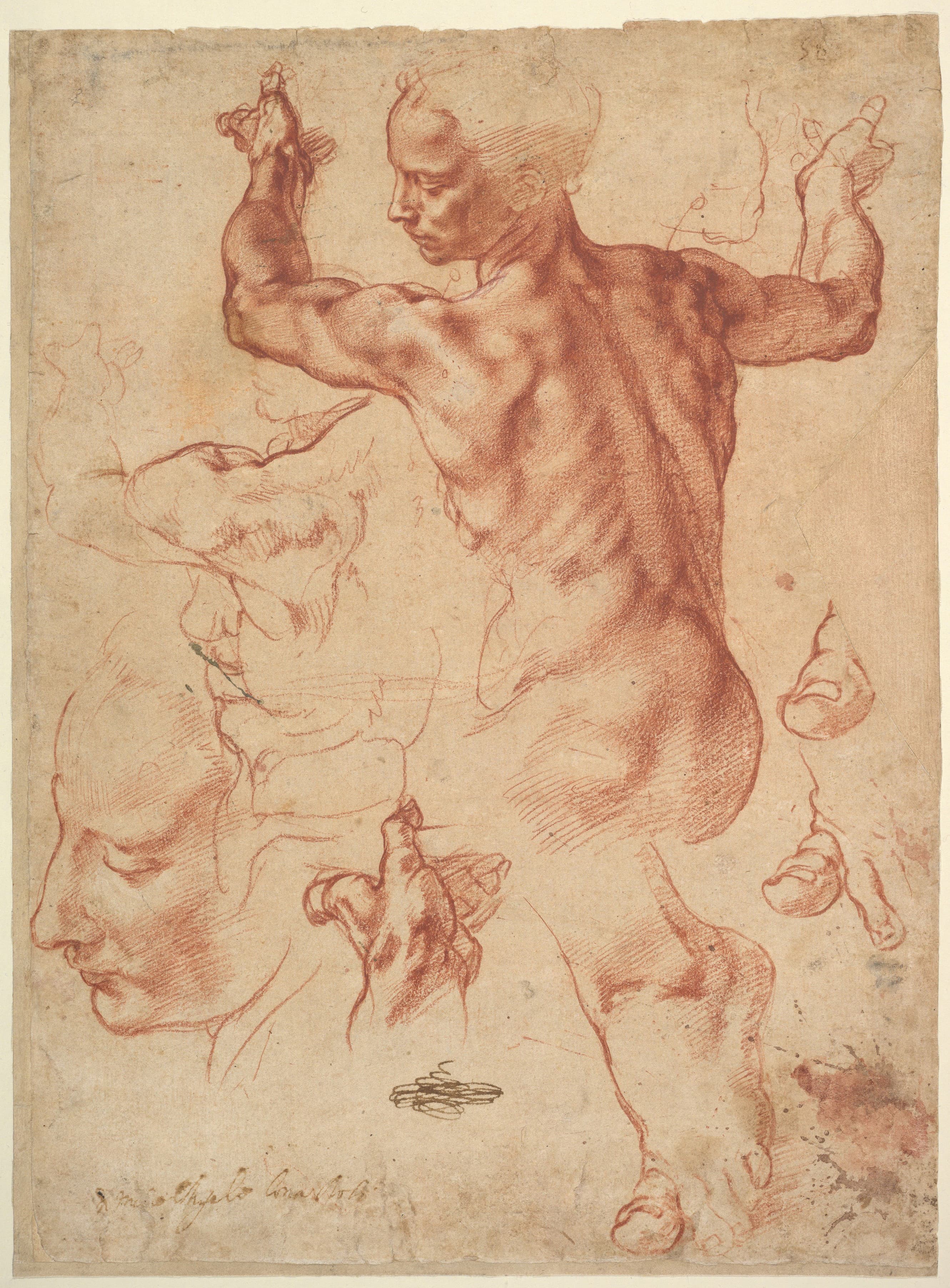 《男性躯干与头像习作》（Studies of a Male Torso and Heads）｜米开朗基罗 Michelangelo Buonarroti｜不明