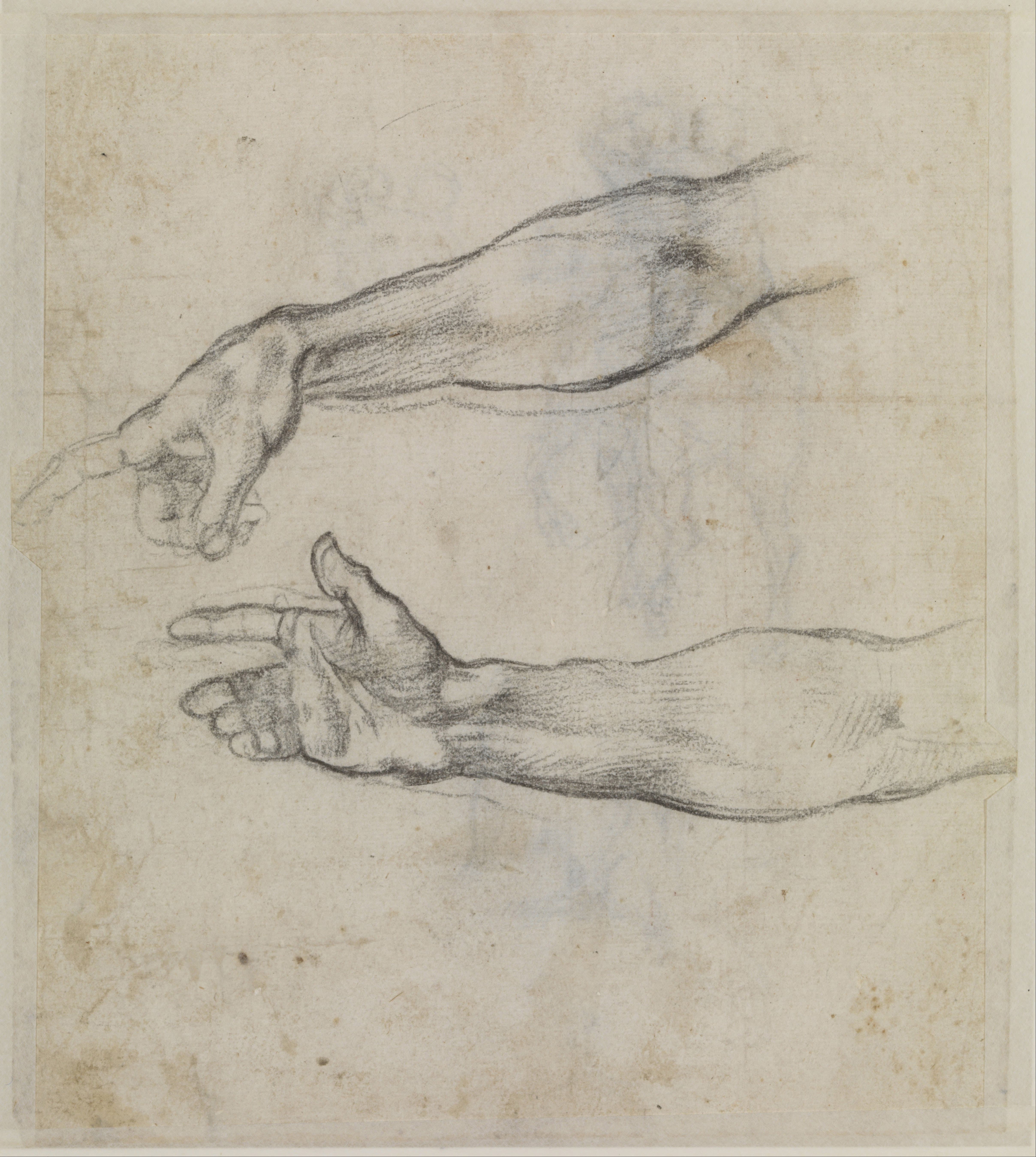 《手臂习作》（Studies of Arms）｜米开朗基罗 Michelangelo Buonarroti｜不明