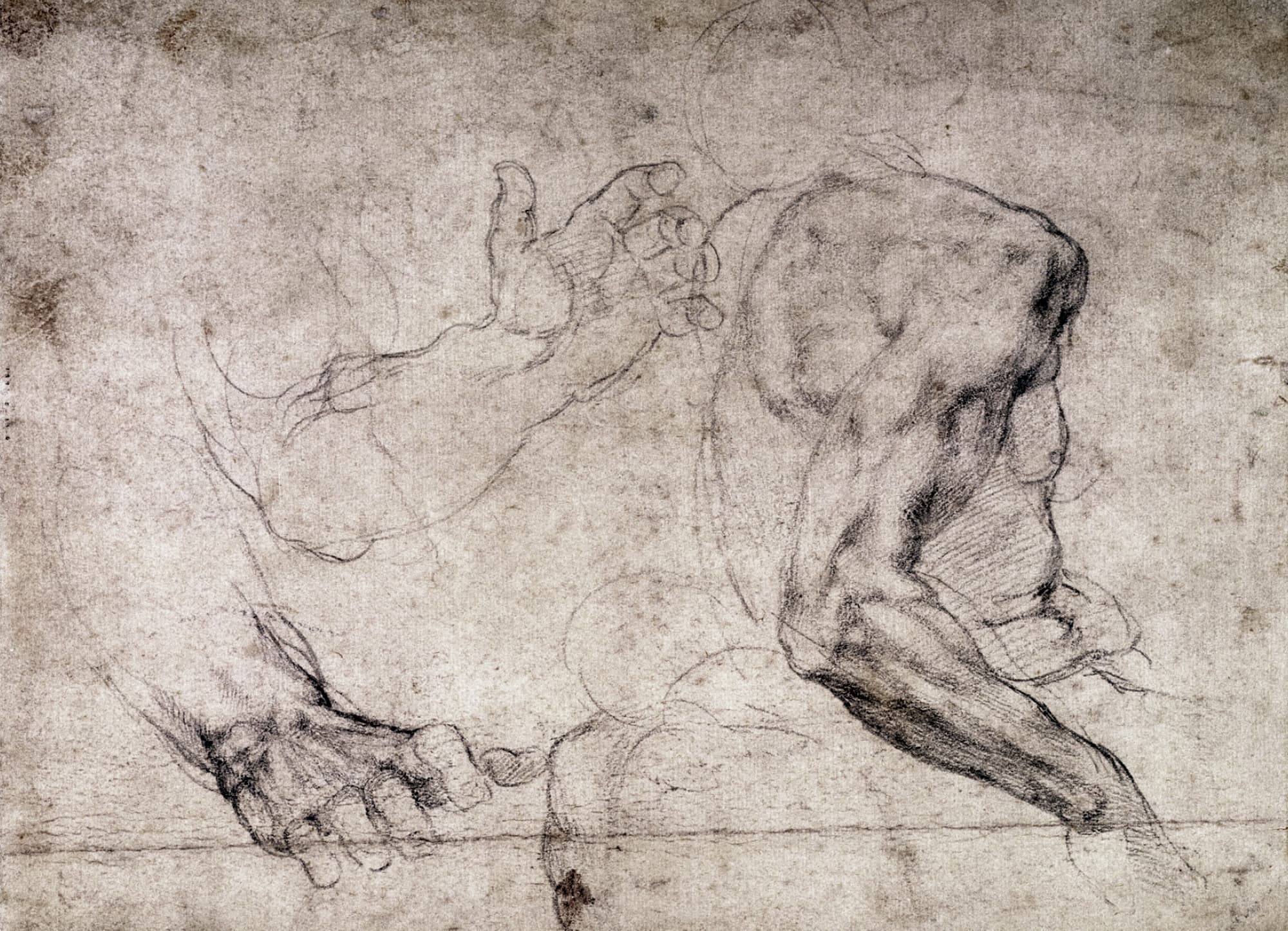 《卧姿男性裸体习作》（Study of a Reclining Male Nude）｜米开朗基罗 Michelangelo Buonarroti｜不明