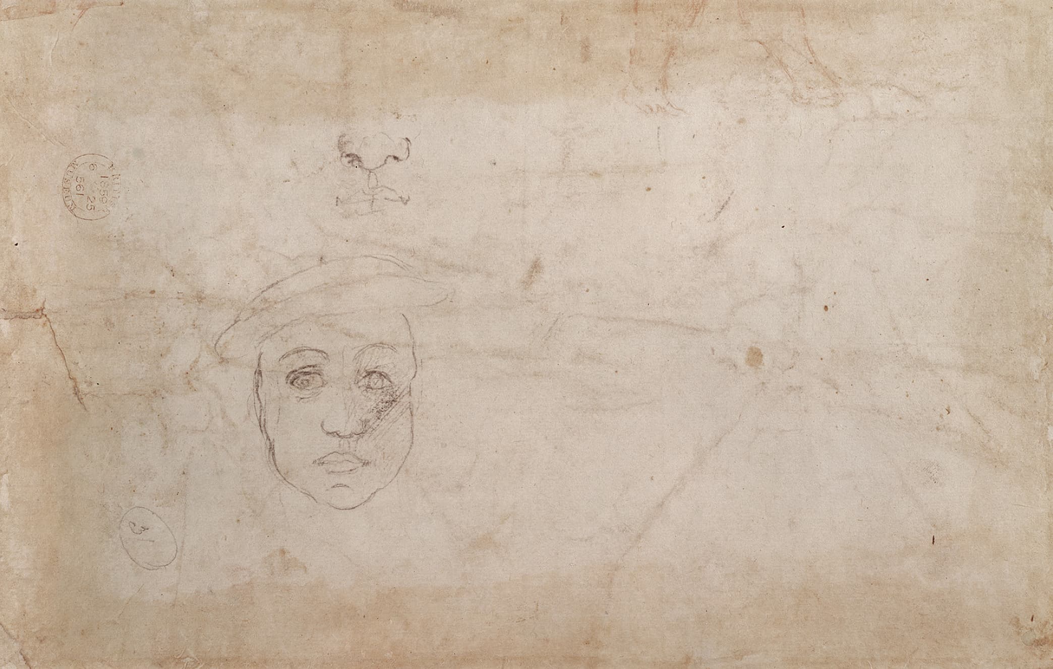 《头像习作》（Study of a Head）｜米开朗基罗 Michelangelo Buonarroti｜不明